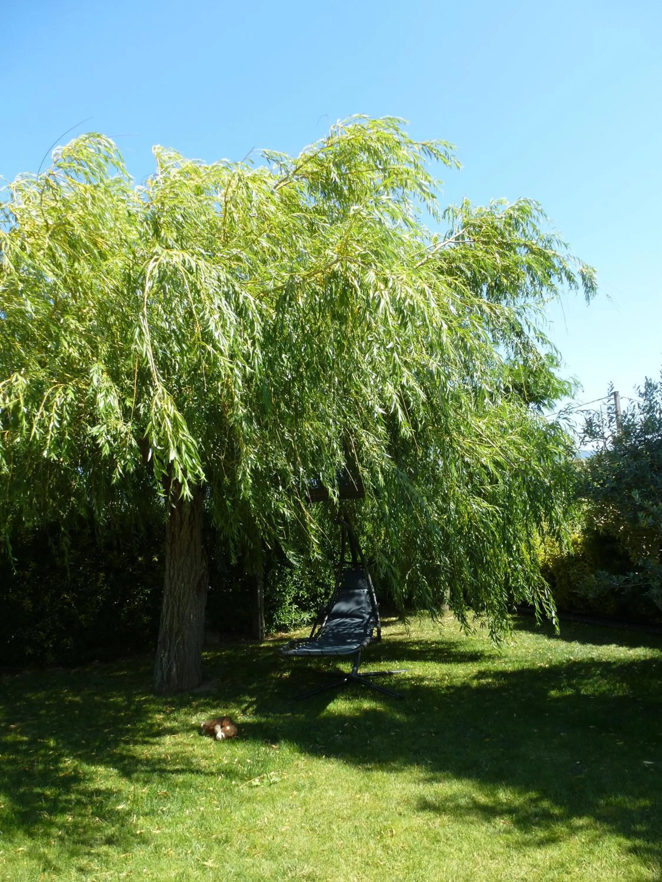 Garden in CHAMBRES D'HÔTES CLIMATISÉES avec CUISINE d'ÉTÉ "VILLA GOUR du PEYROL"