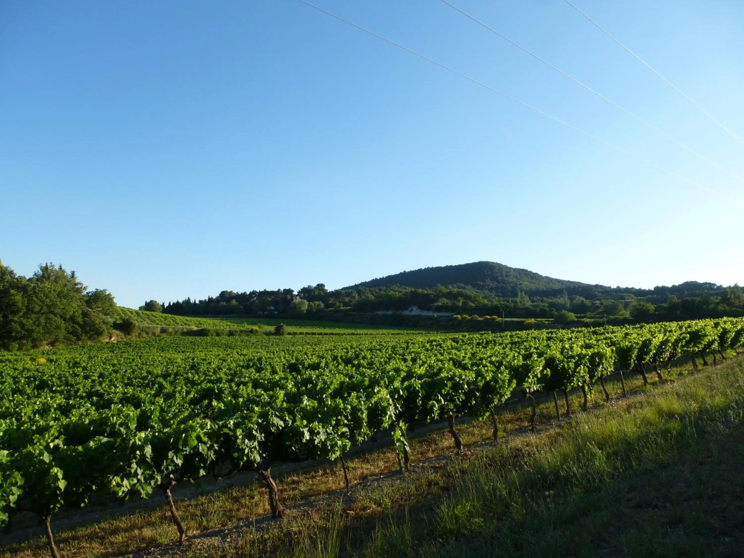 Natural landscape in CHAMBRES D'HÔTES CLIMATISÉES avec CUISINE d'ÉTÉ "VILLA GOUR du PEYROL"