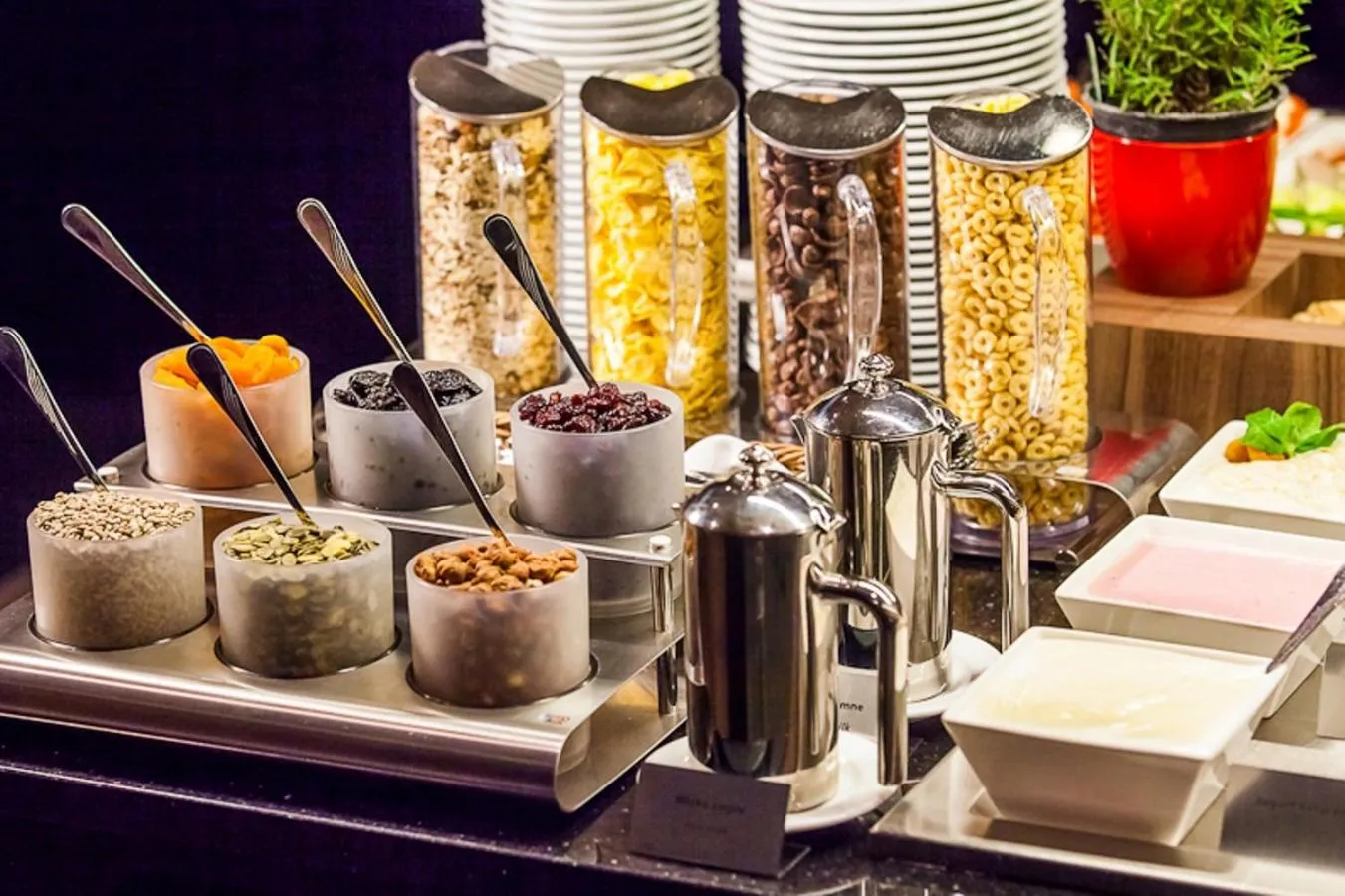 Food in Qubus Hotel Kielce