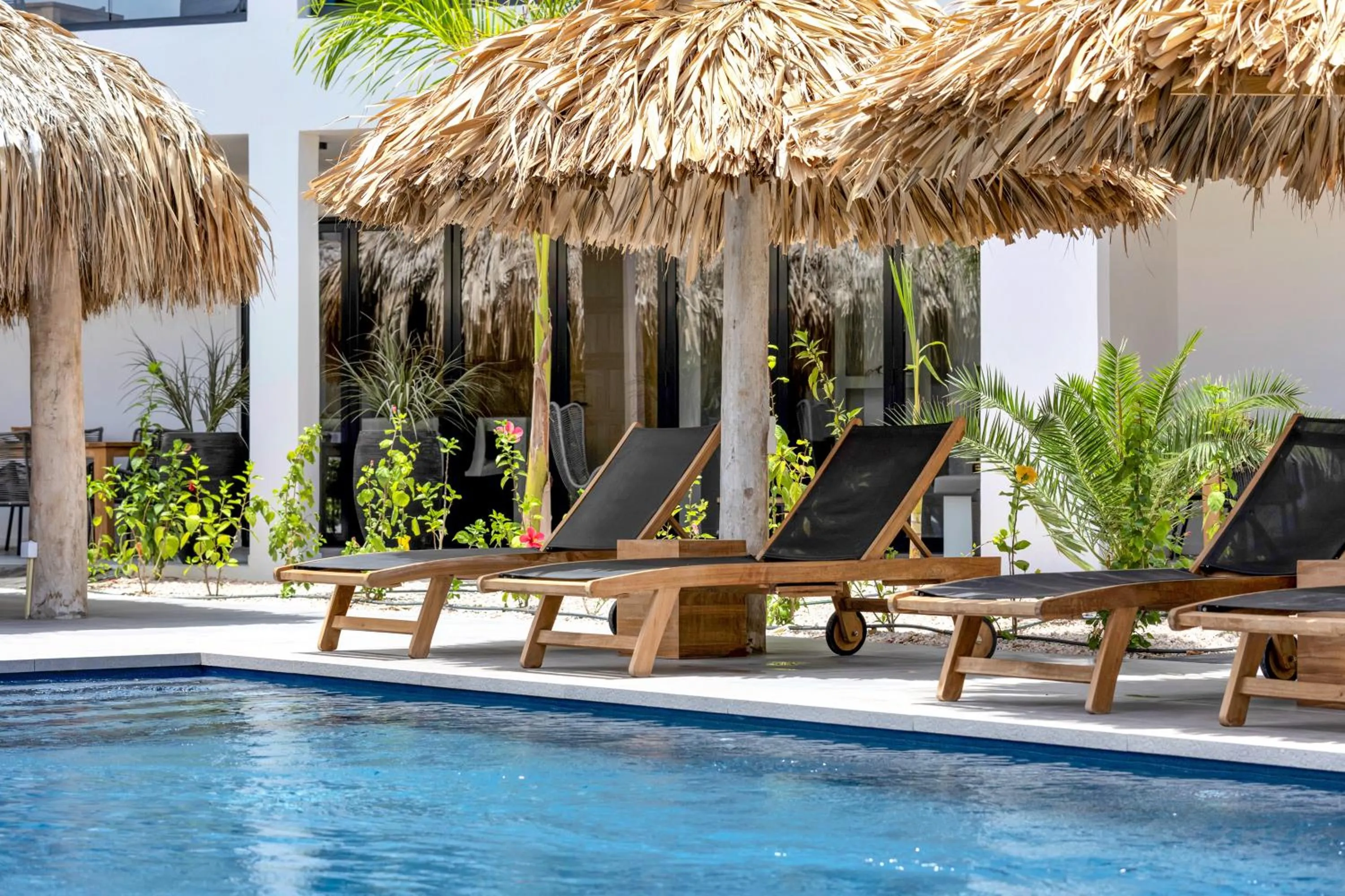 Garden in Belnem House Bonaire