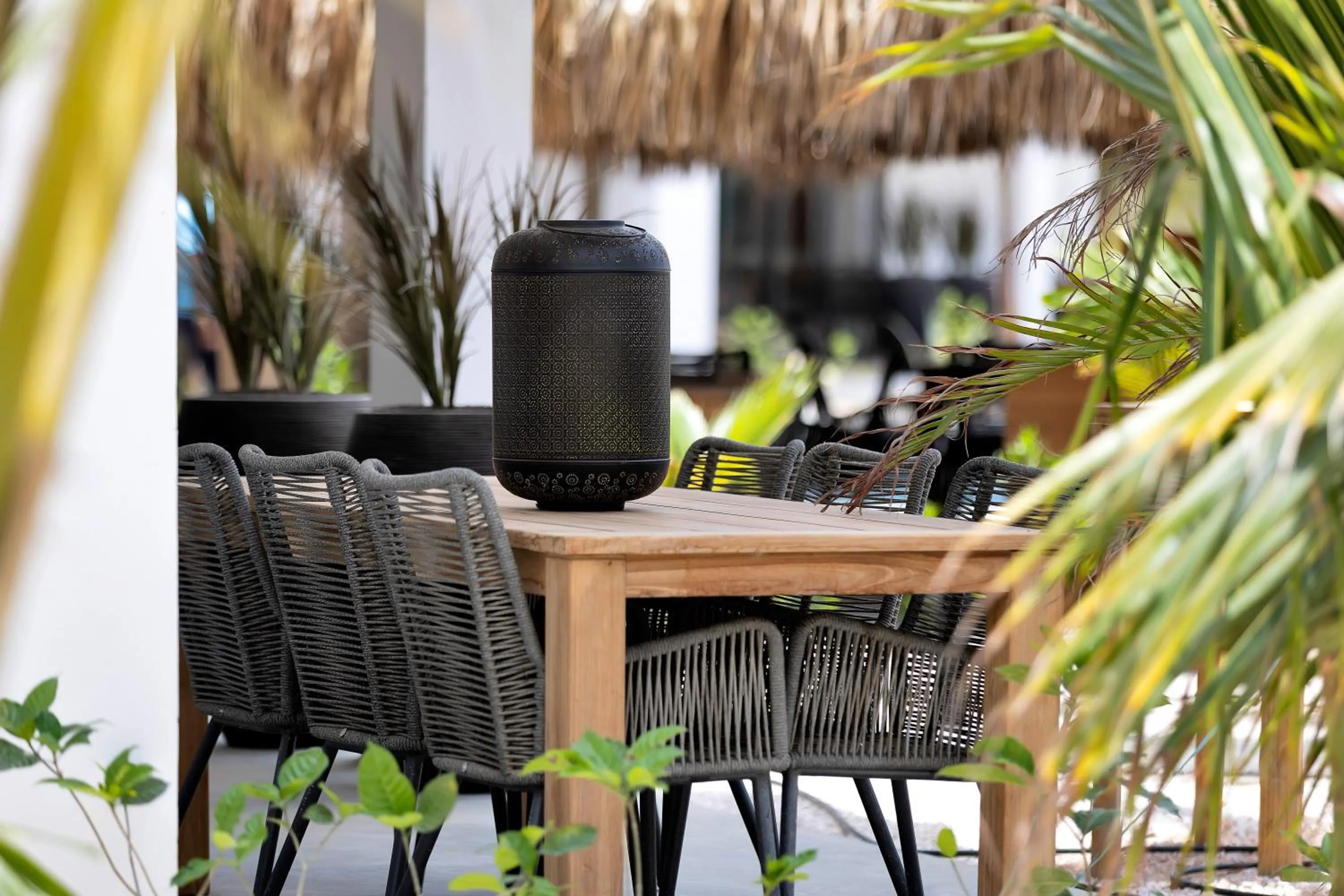 Balcony/Terrace in Belnem House Bonaire