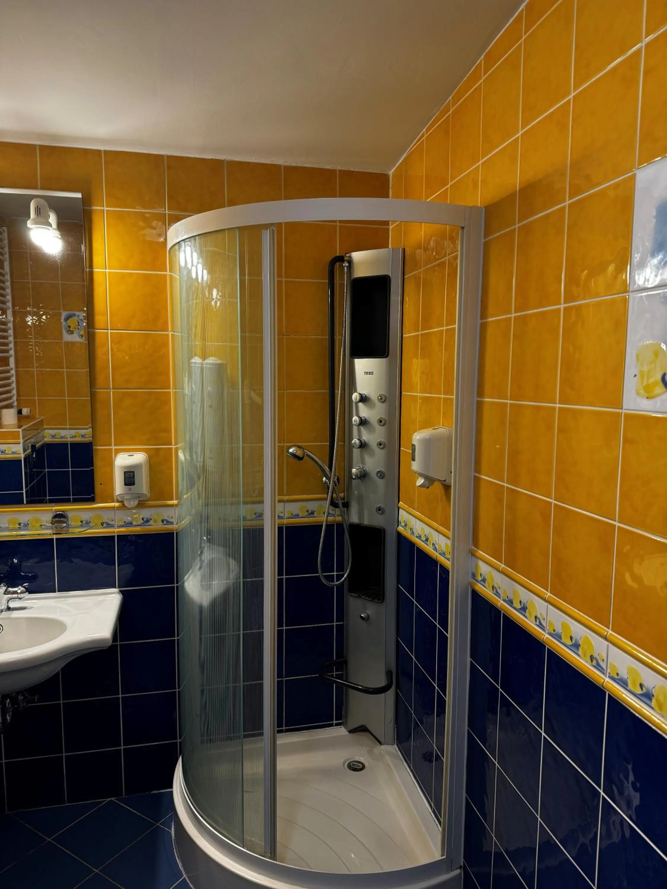 Shower in Geovita w Jadwisinie