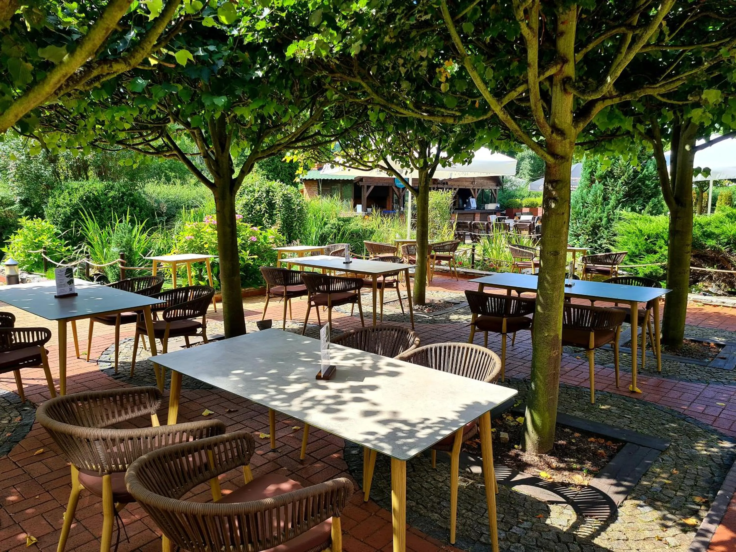 Restaurant/places to eat in Dom Oliwski