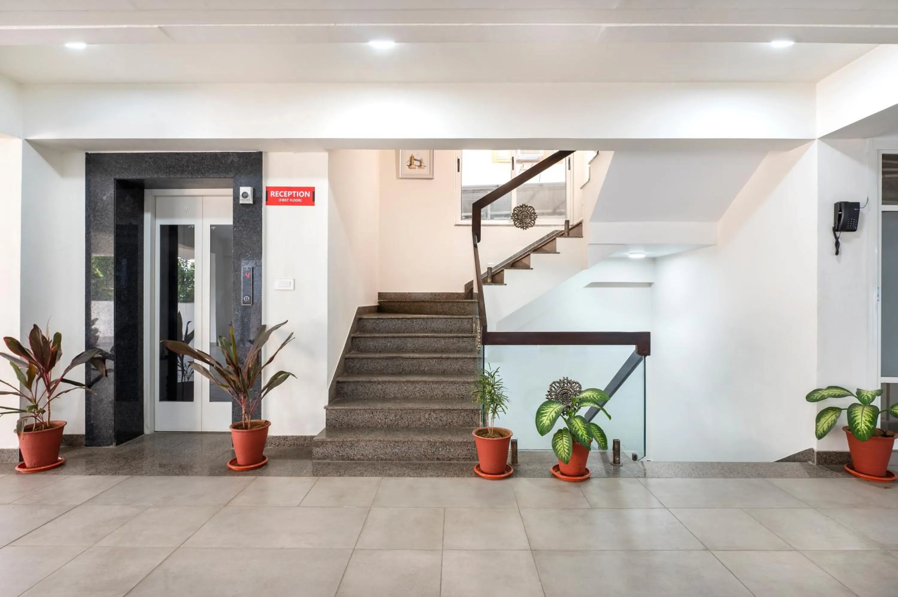 Area and facilities in Palm Stay - Studios & Rooms