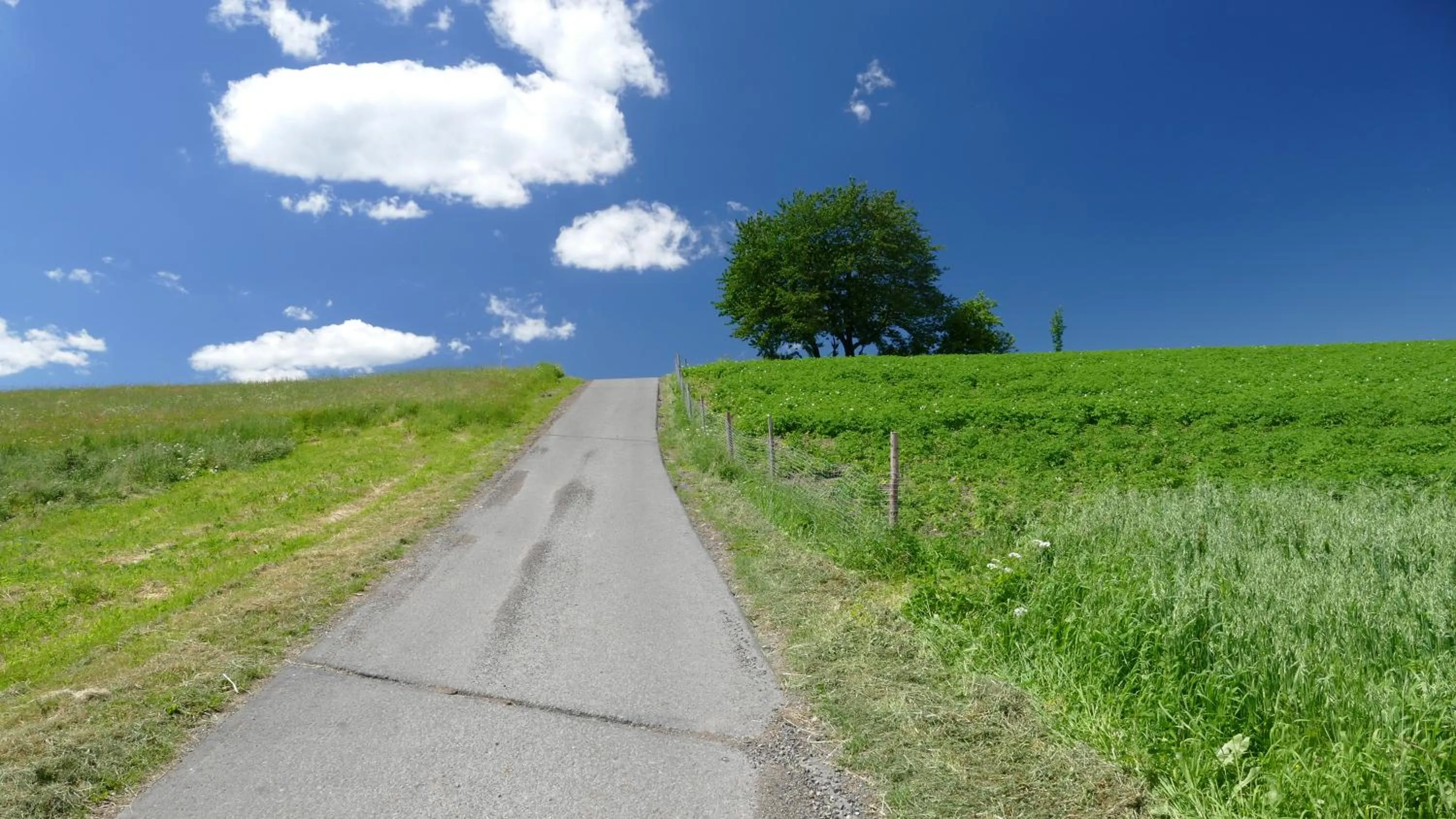 Day in Geovita Wisła