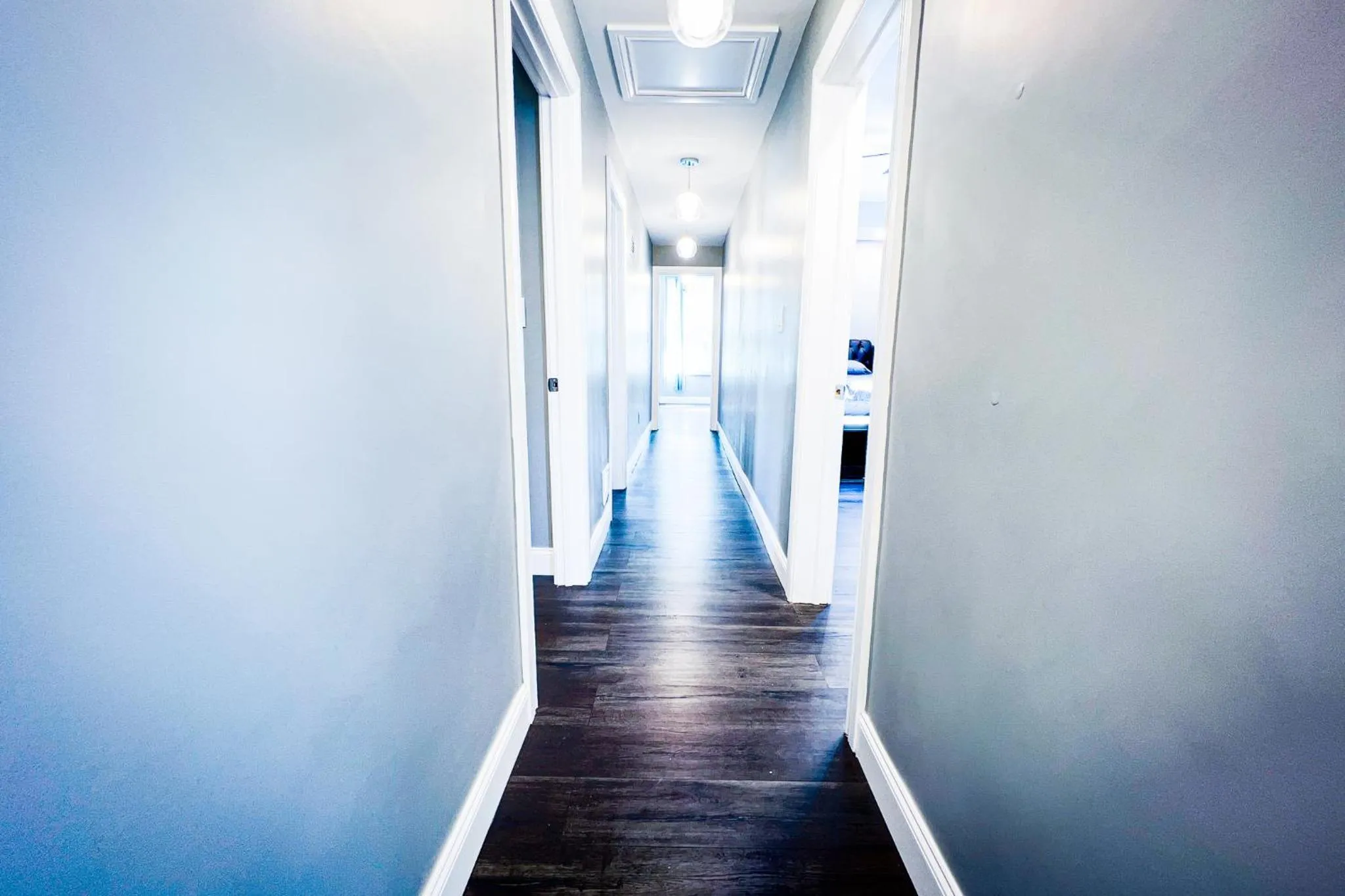 Property building in The Griffon House