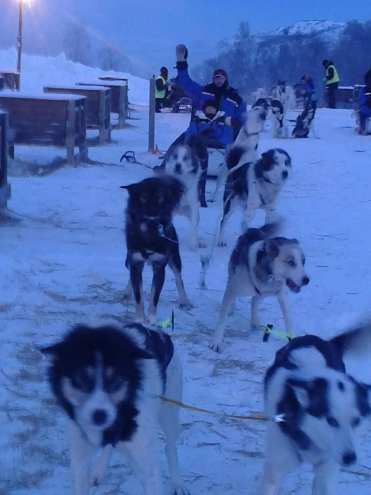 Activities in Haugetuft Apartments