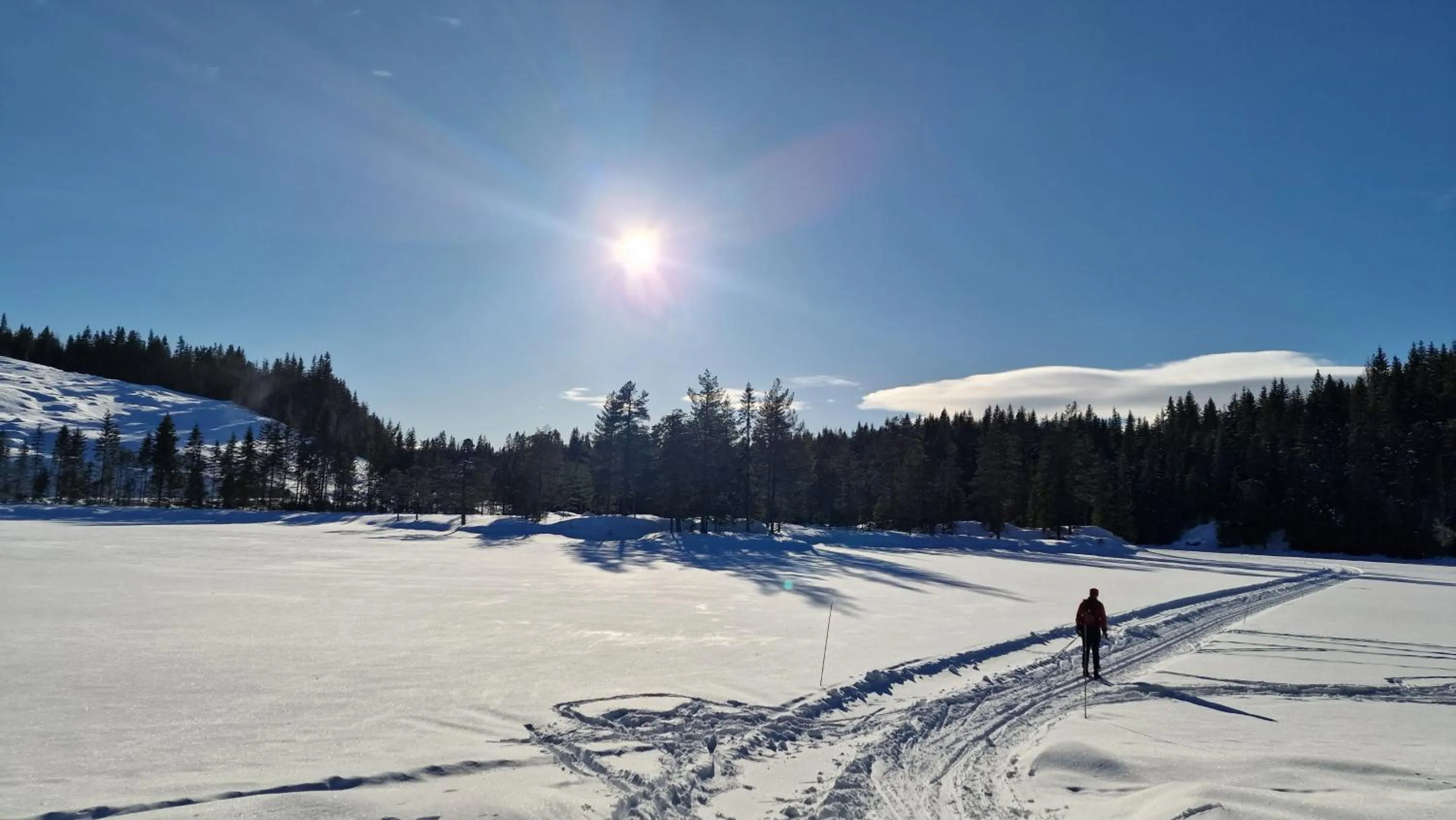 Activities in Haugetuft Apartments