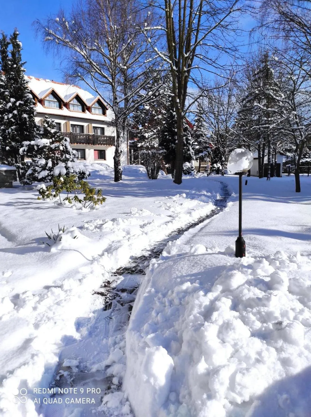 Property building in Geovita Muszyna