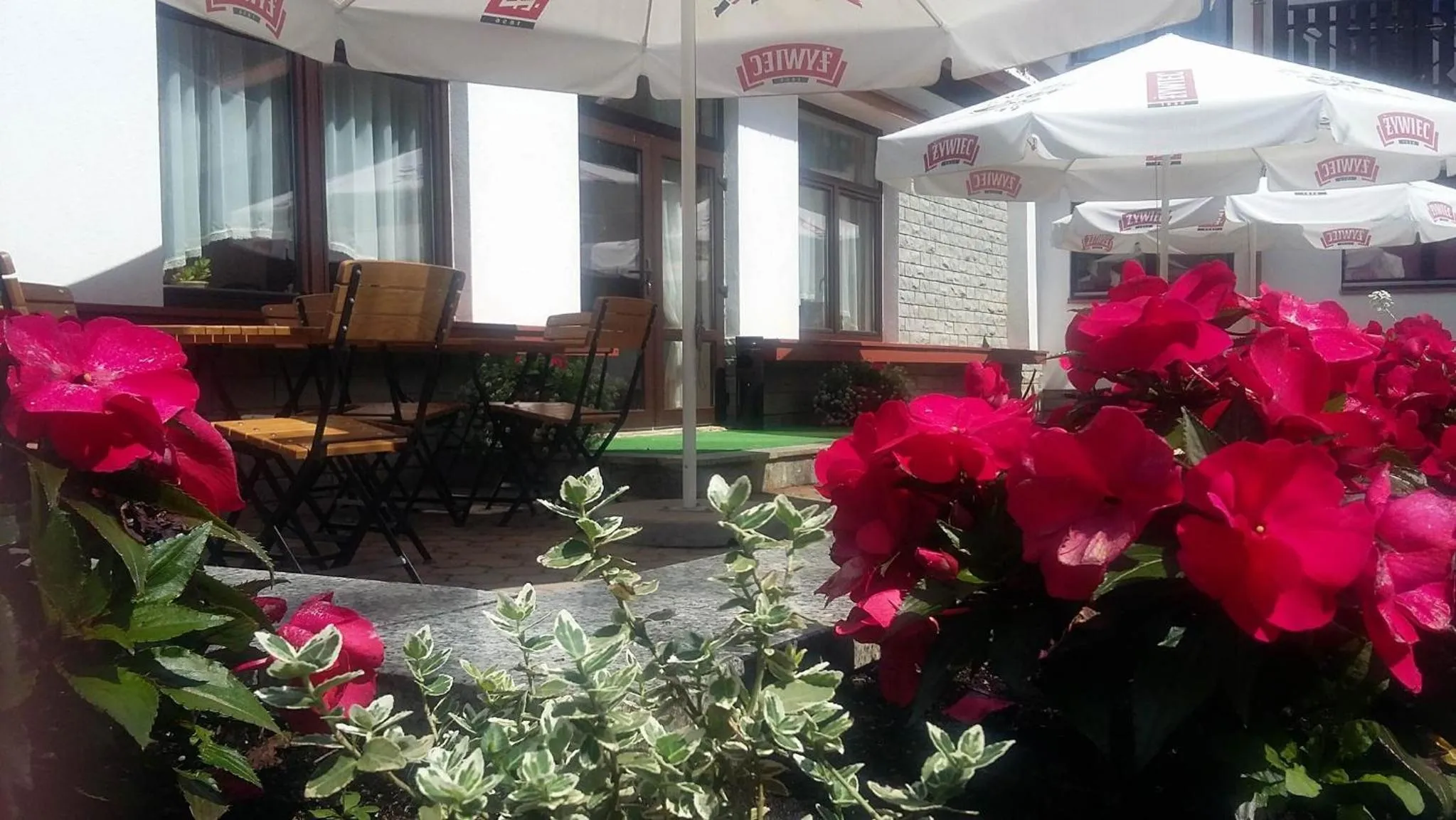 Property building in Geovita Muszyna