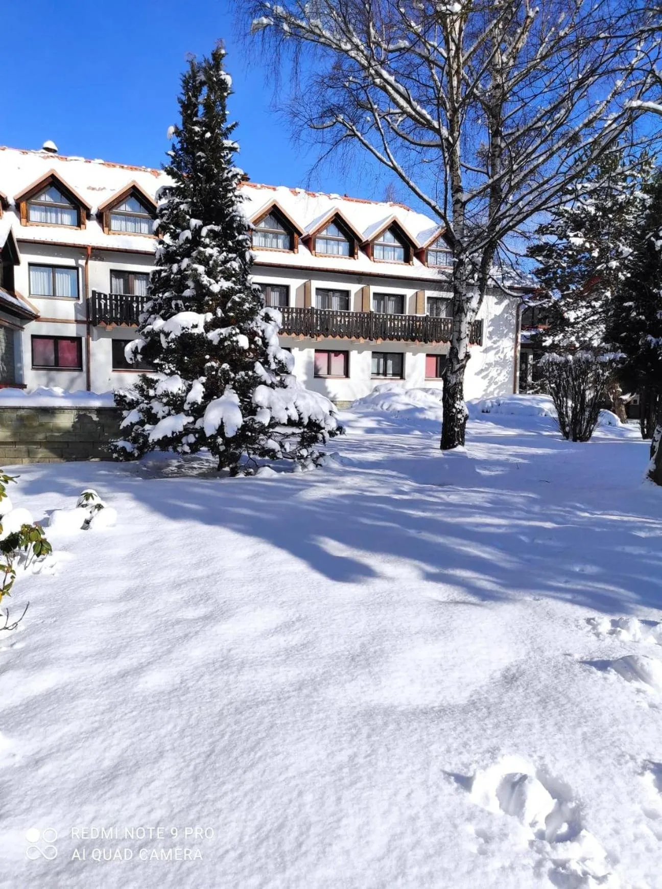 Property building in Geovita Muszyna