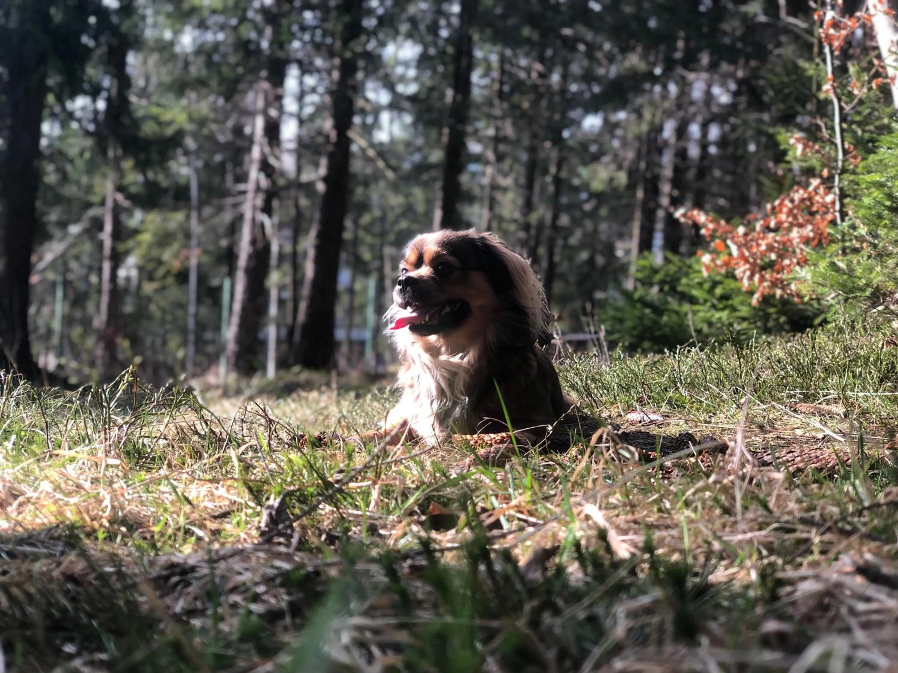 Day in Geovita Zakopane
