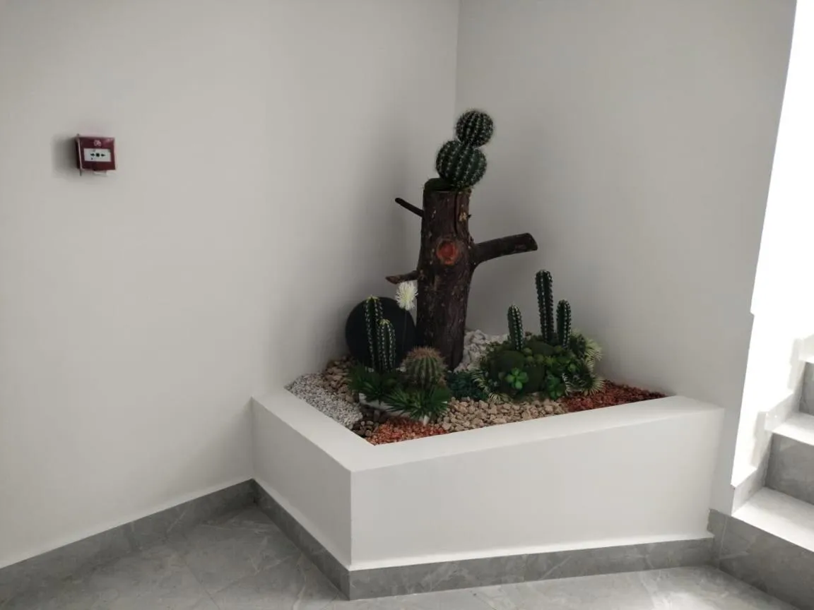 Garden in Hotel Qatar Cali