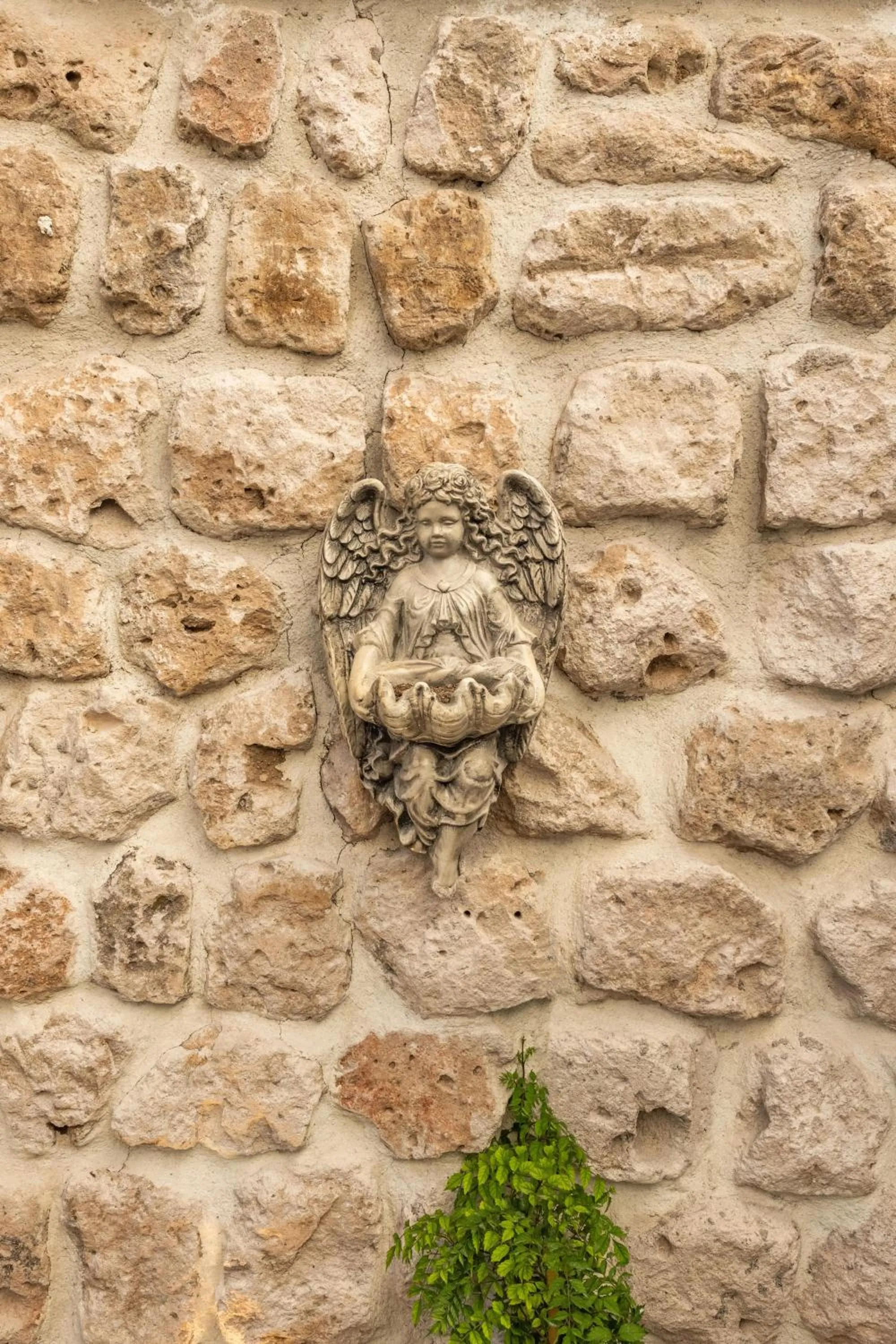 Garden in Foremanson Cave Hotel