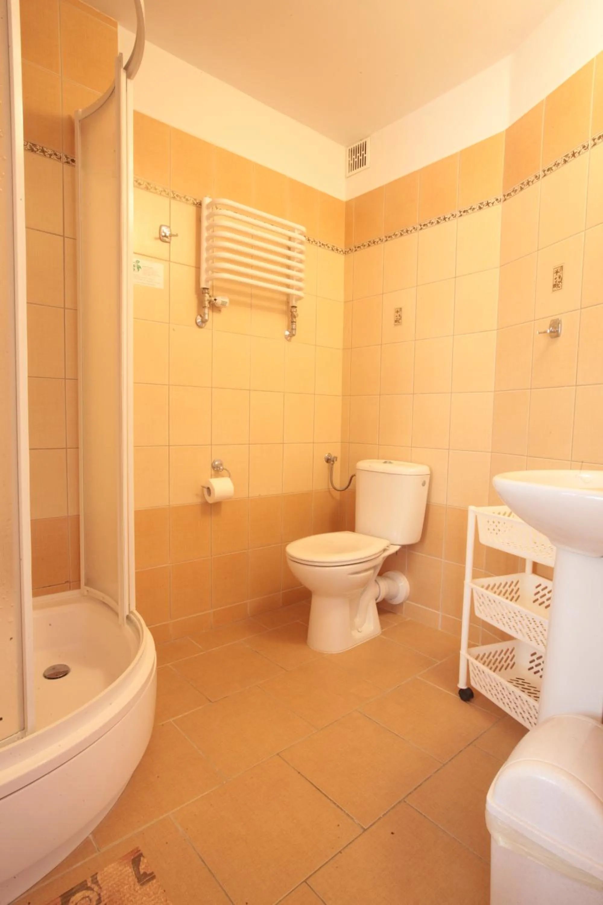 Shower in Hotel Zamek