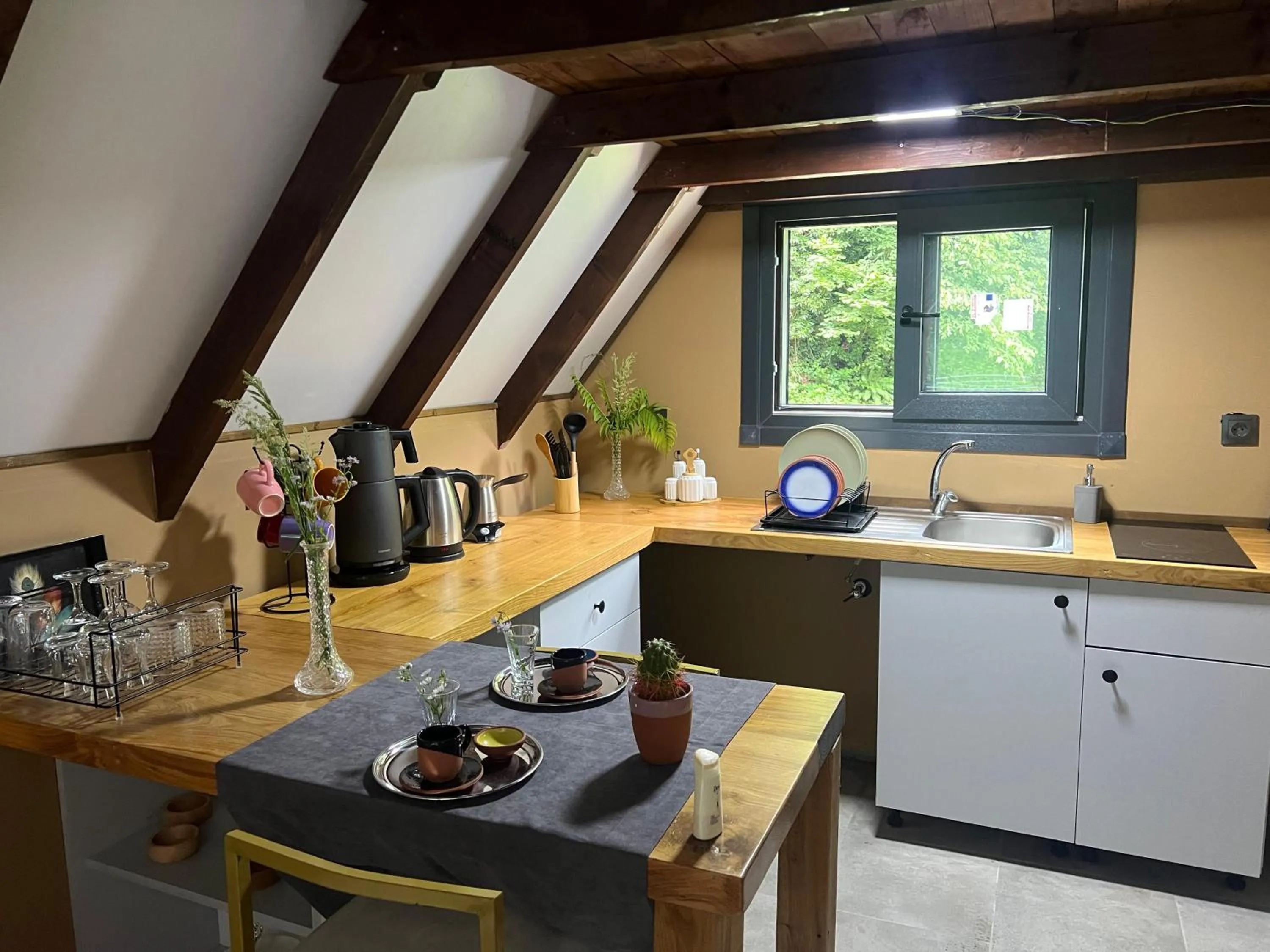 Kitchen or kitchenette in Danzi camping tiny house