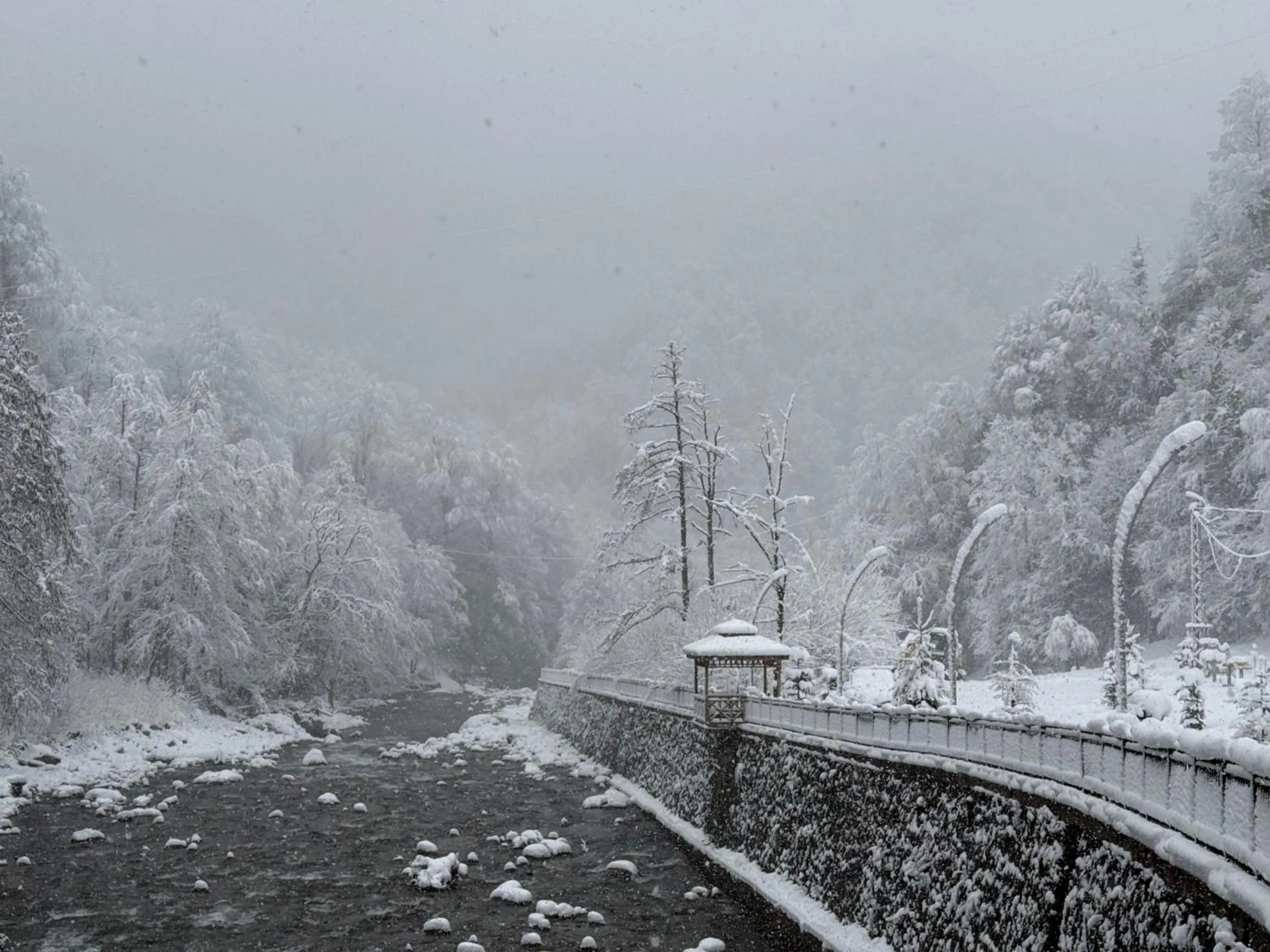 Danzi camping tiny house