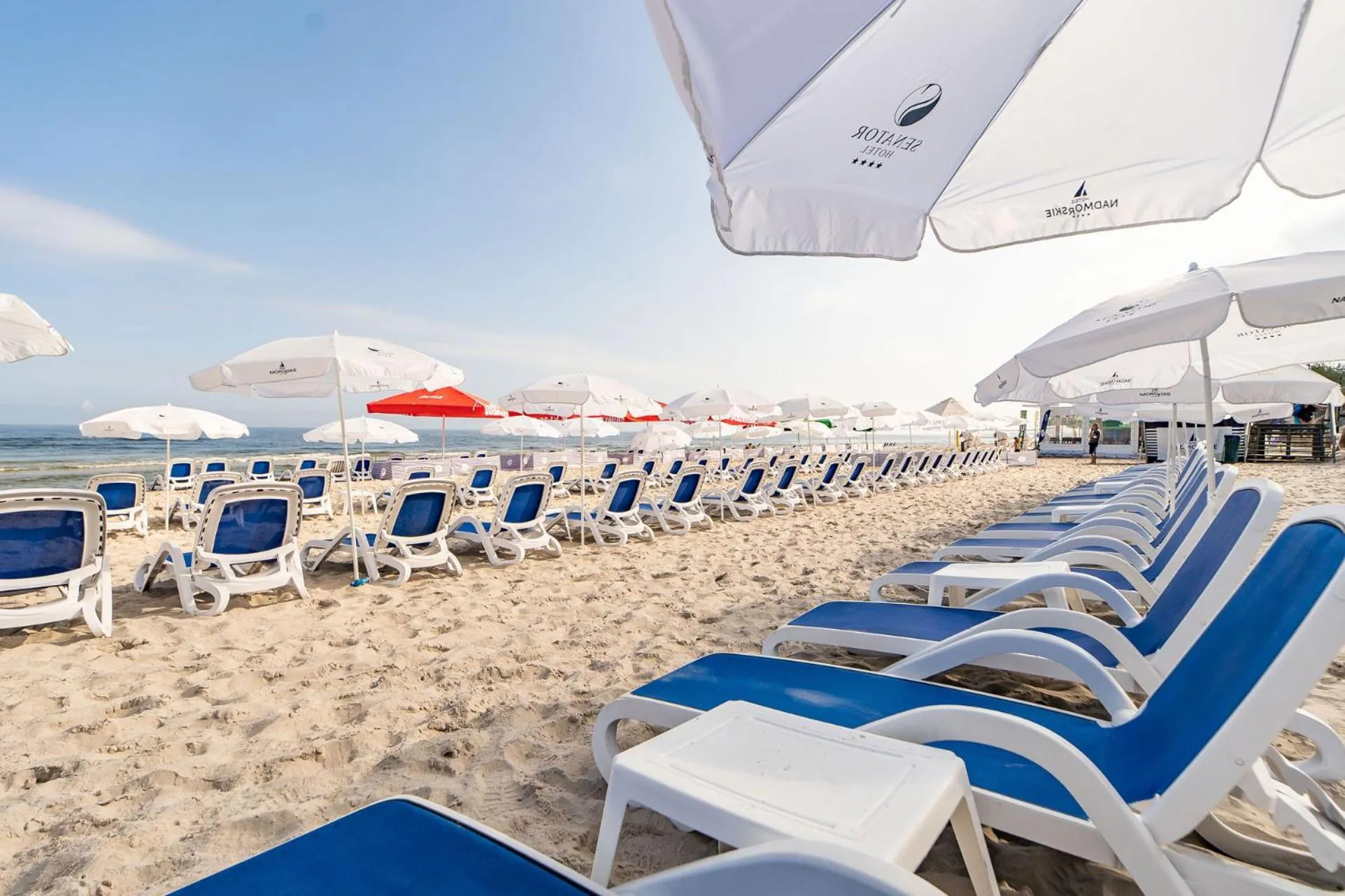 Beach in Hotel Senator