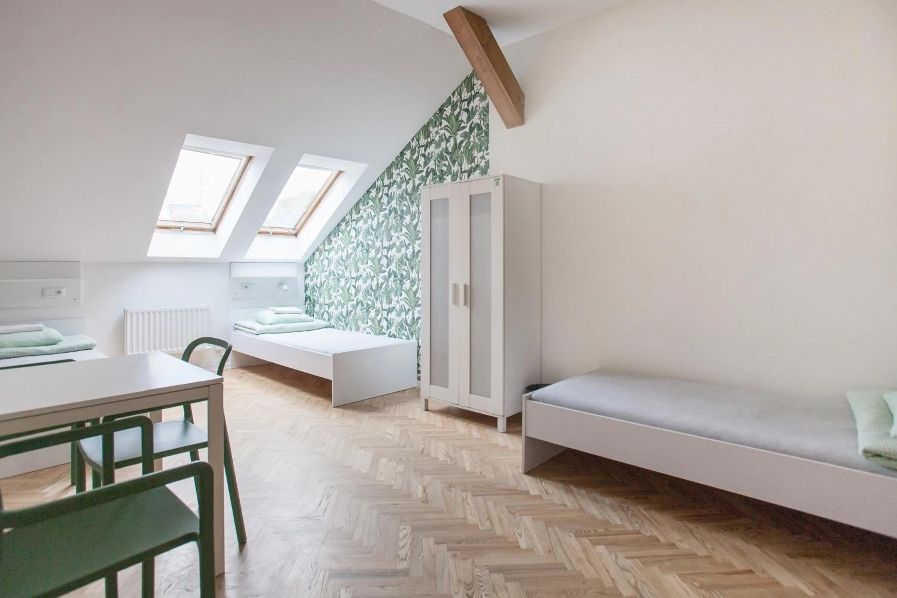 Bed in Dizzy Daisy Hostel