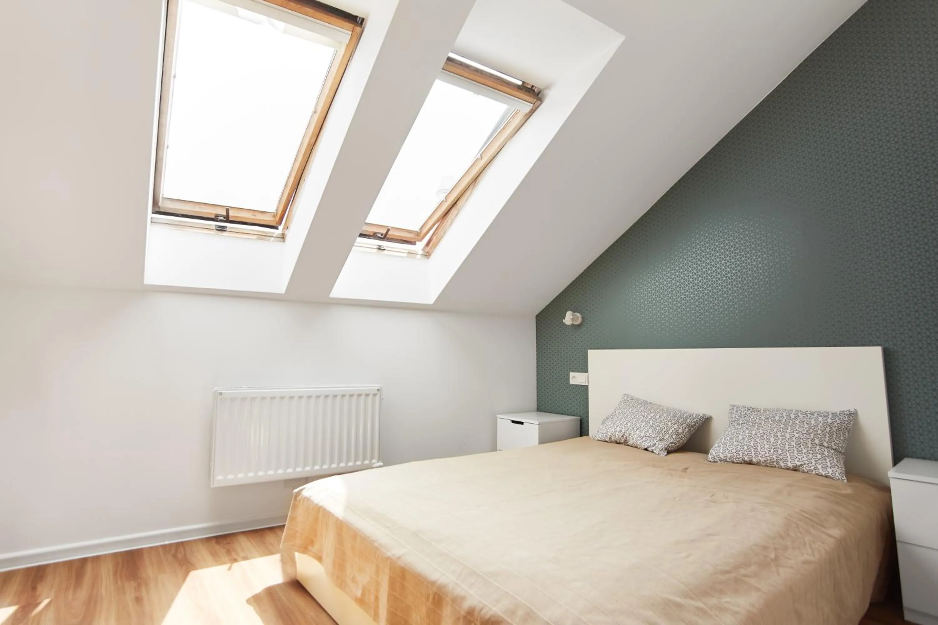 Photo of the whole room, Bed in Dizzy Daisy Hostel