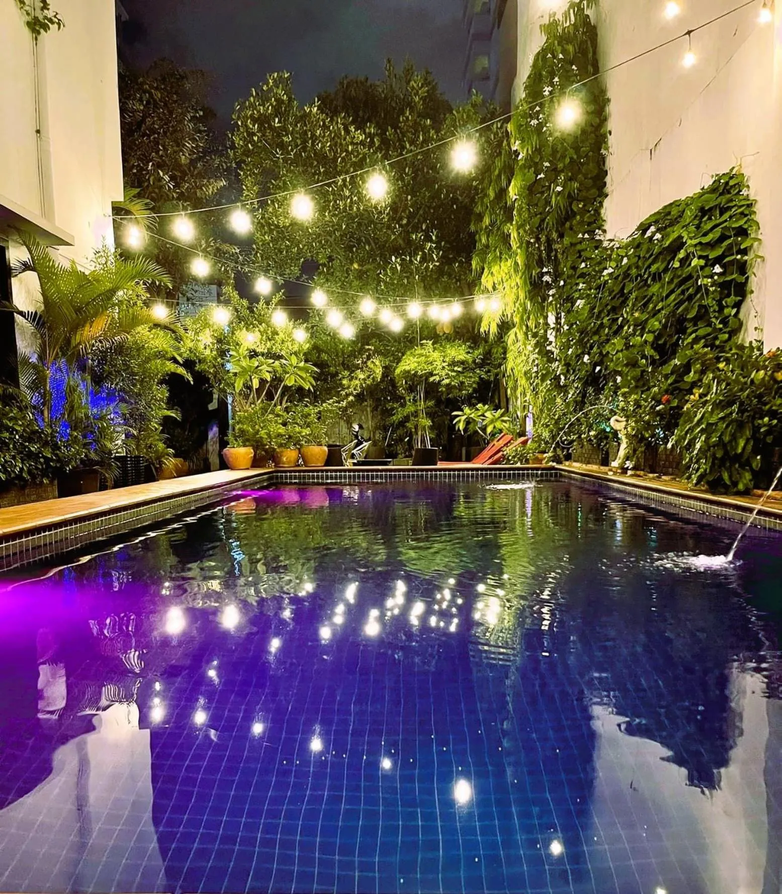 Swimming pool in Birdcage Boutique