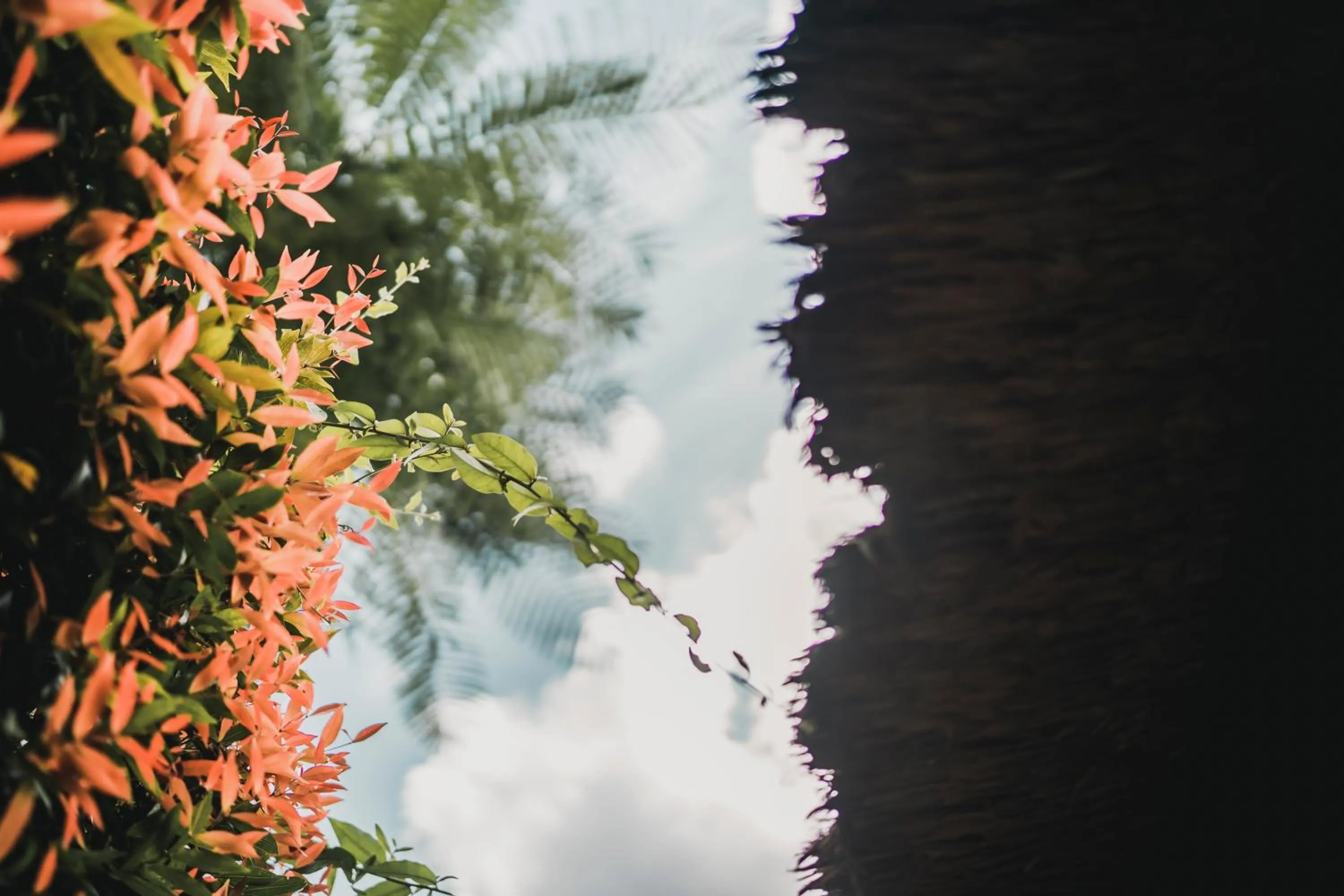 Day in The Retreat at Kharista by Ekosistem