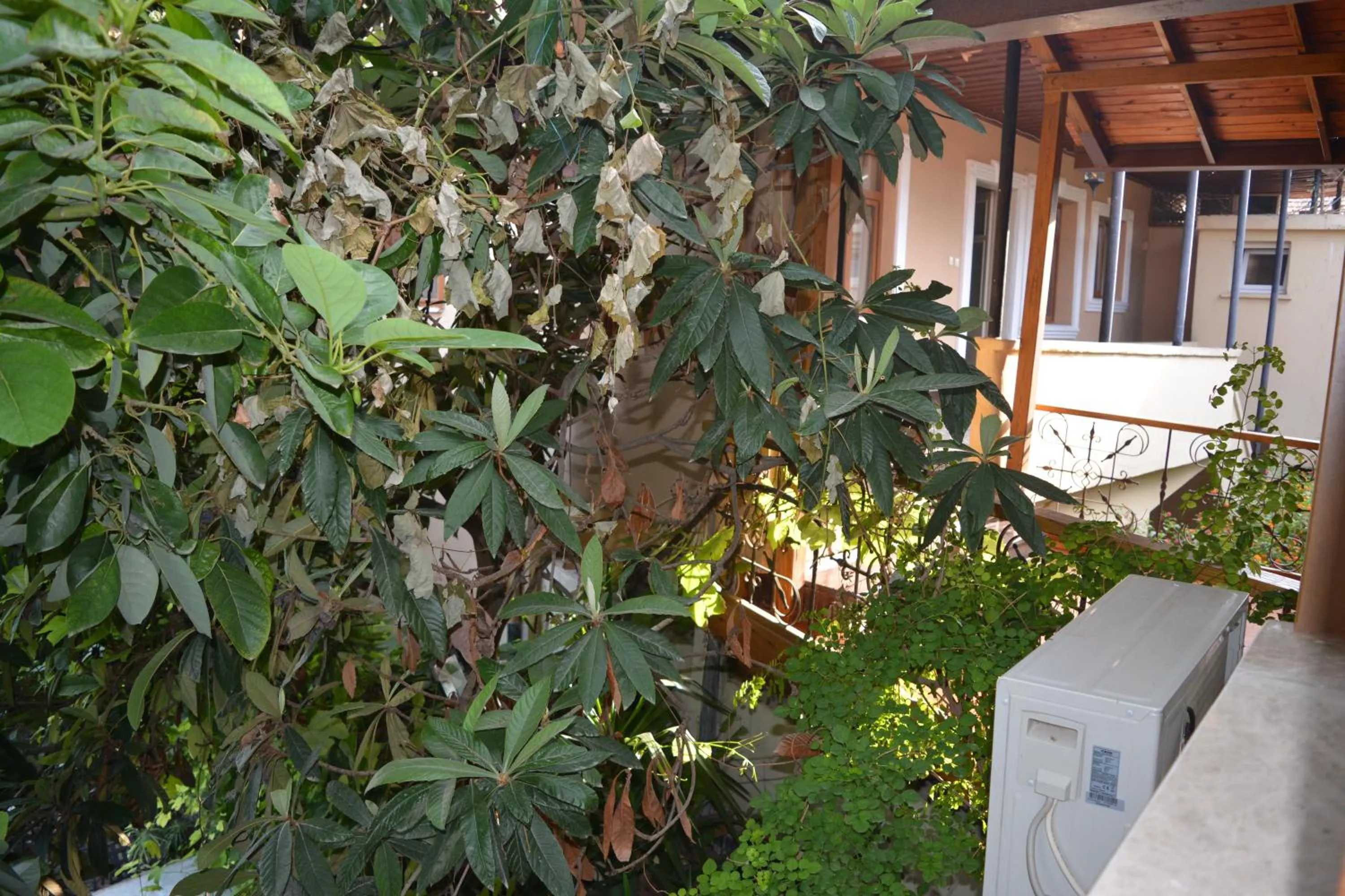 View (from property/room) in Osmanli Marco Pasha Hotel