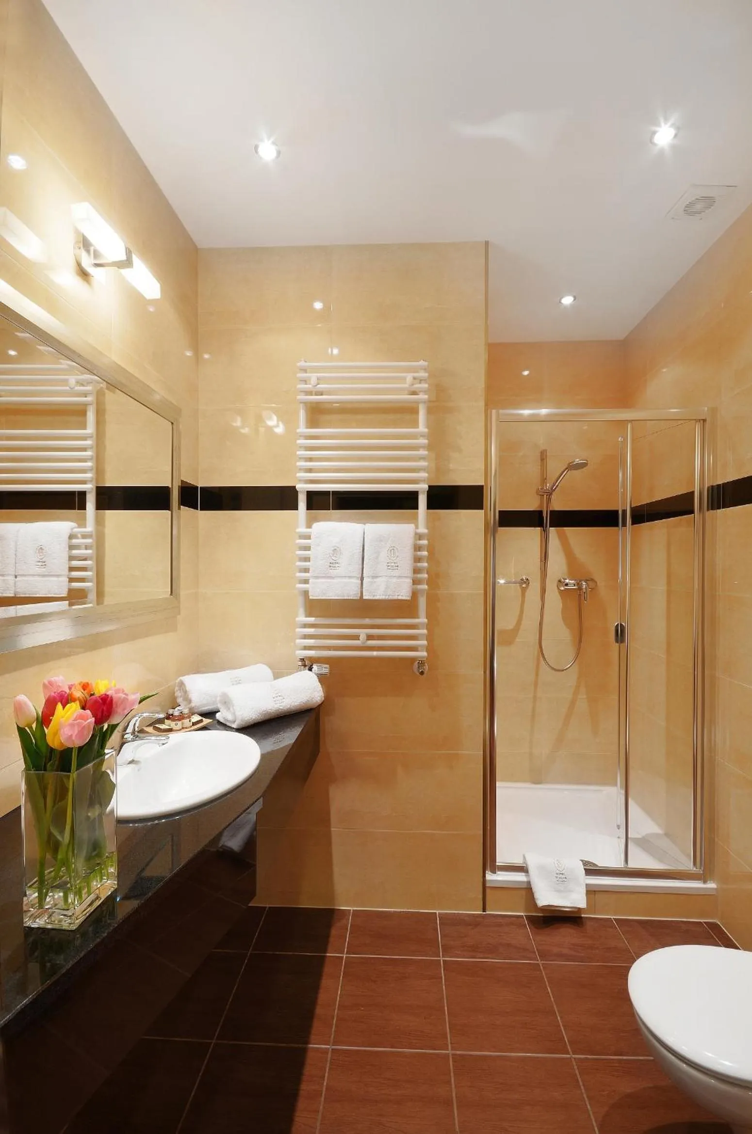 Bathroom in Hotel Wolne Miasto Old Town Gdańsk