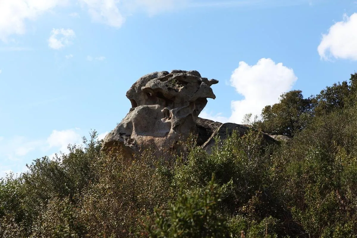View (from property/room) in B&B Terra e Smeralda