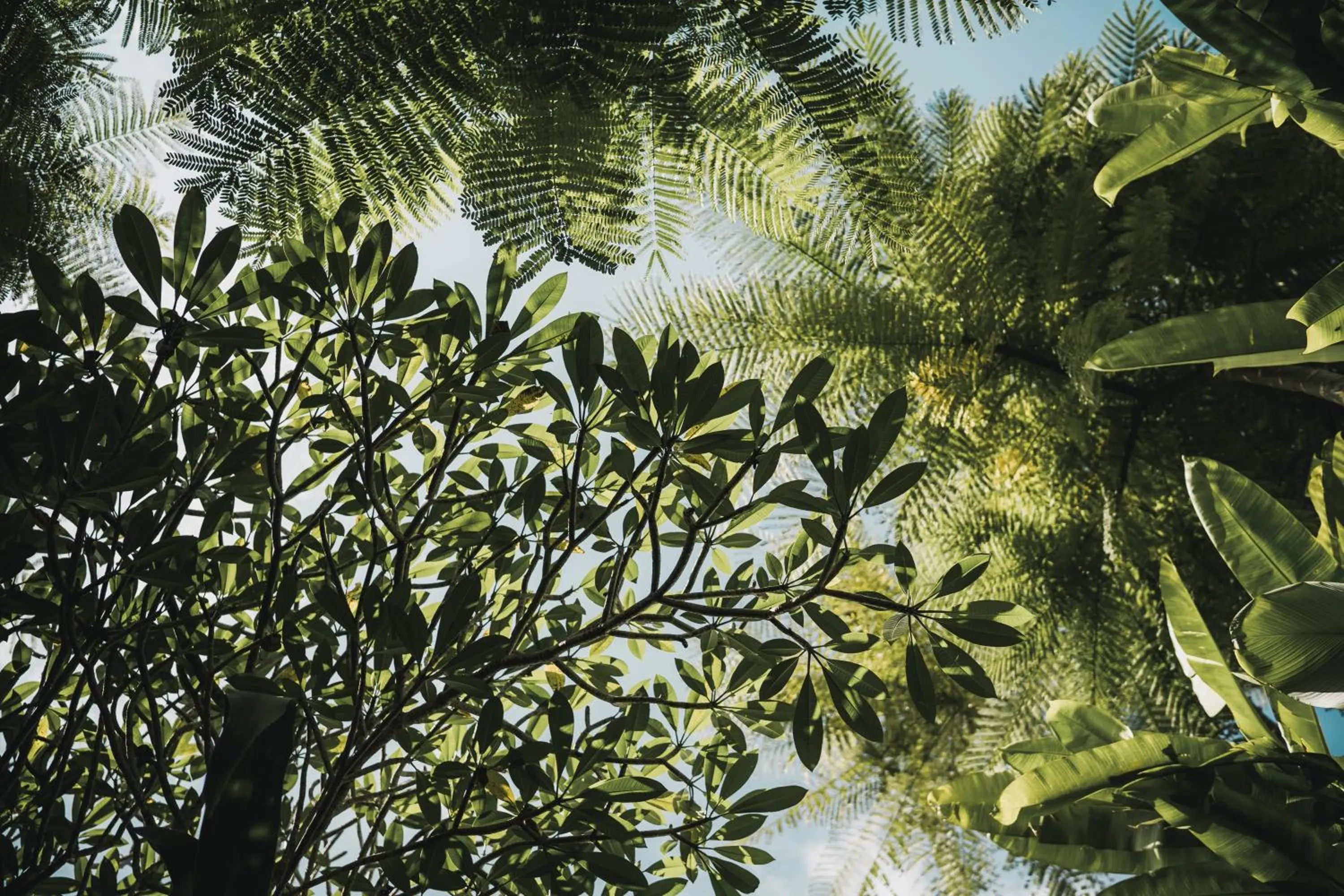 Day in Kharista Villas & Retreat by Ekosistem