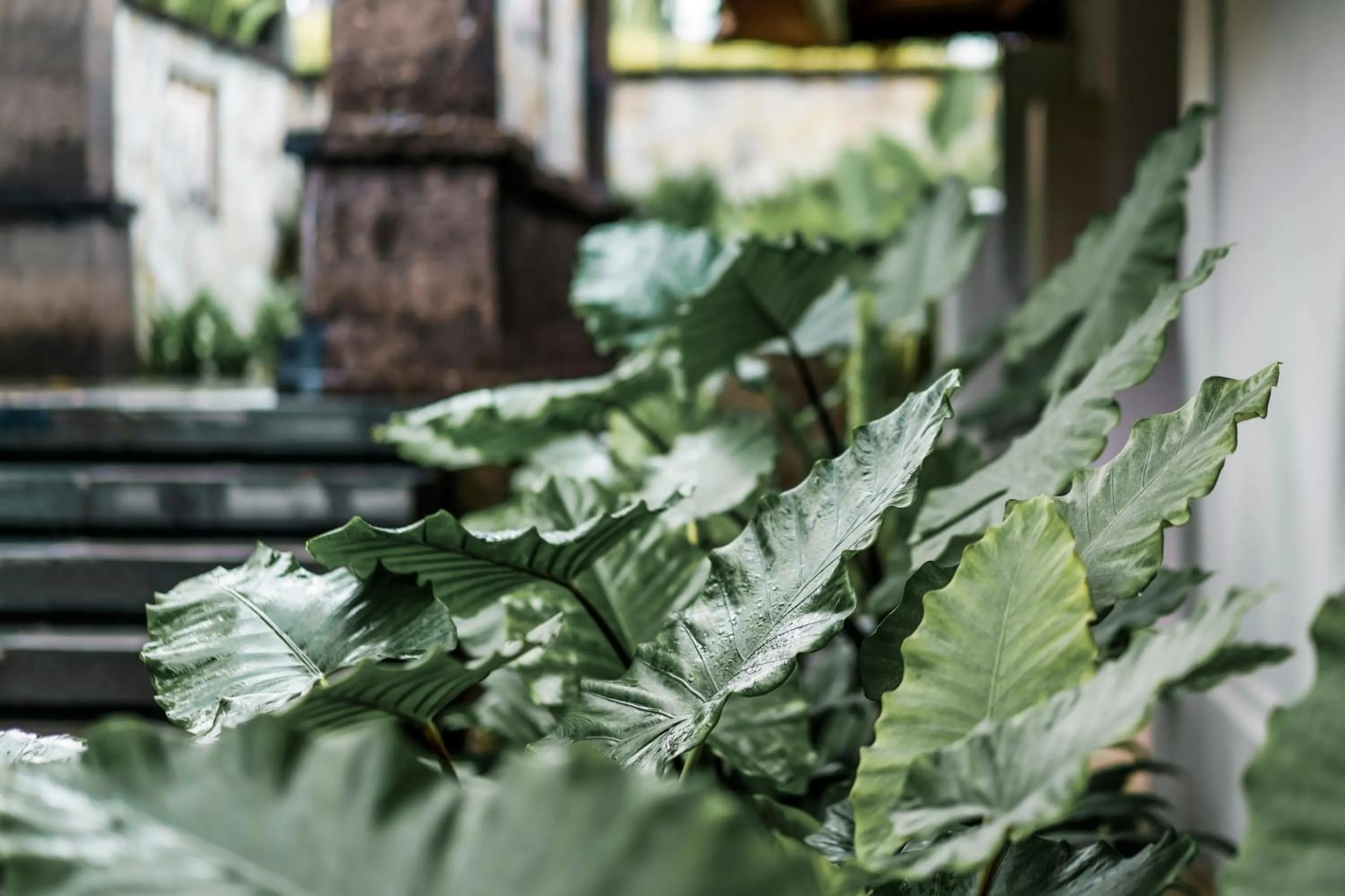 Garden in Kharista Villas & Retreat by Ekosistem