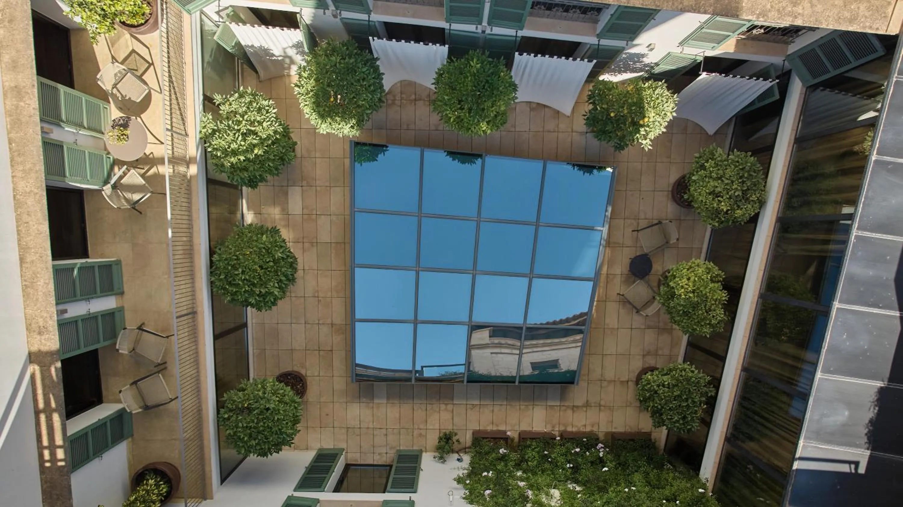 View (from property/room) in Can Alomar Hotel