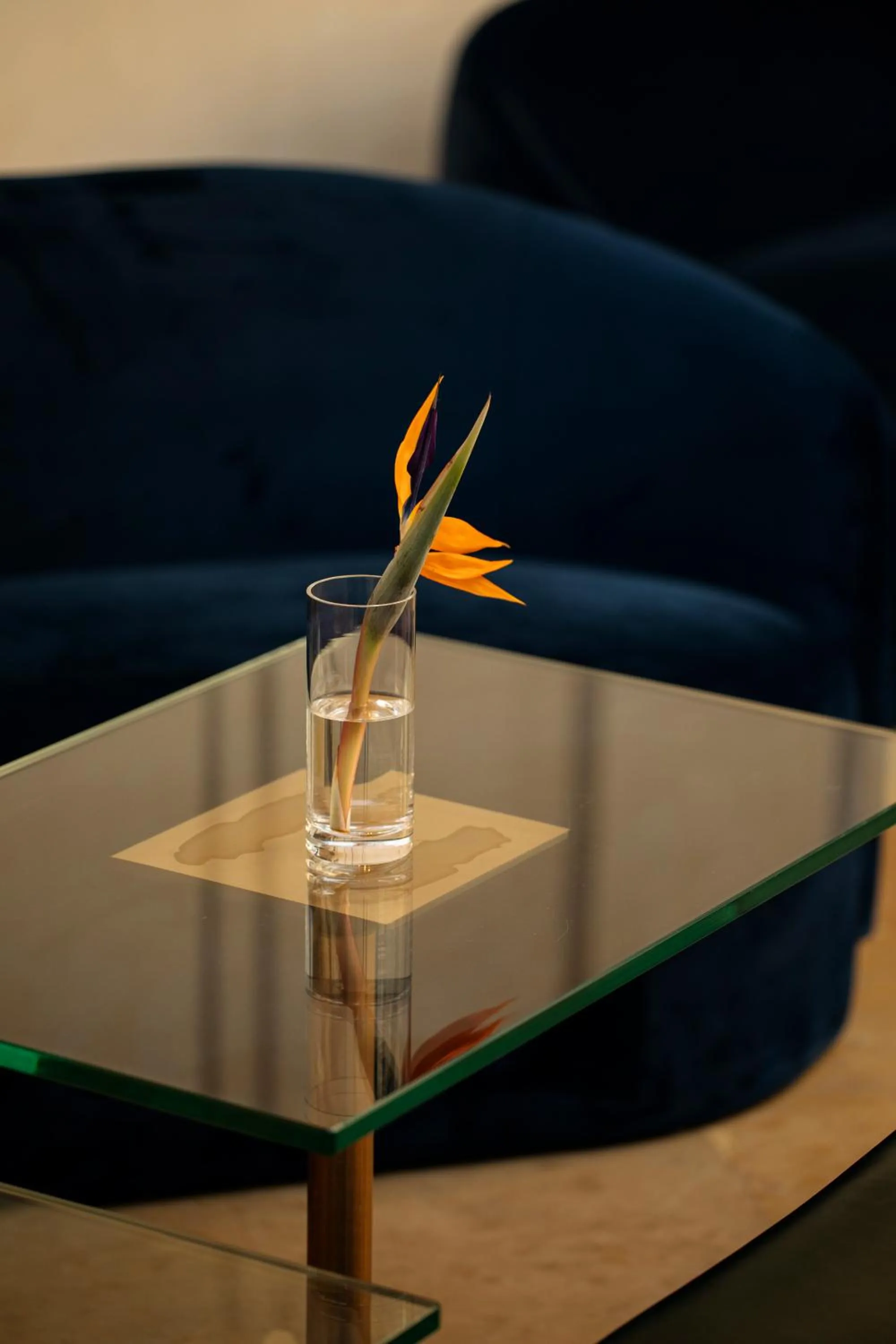 Seating area in Hotel Pod Różą