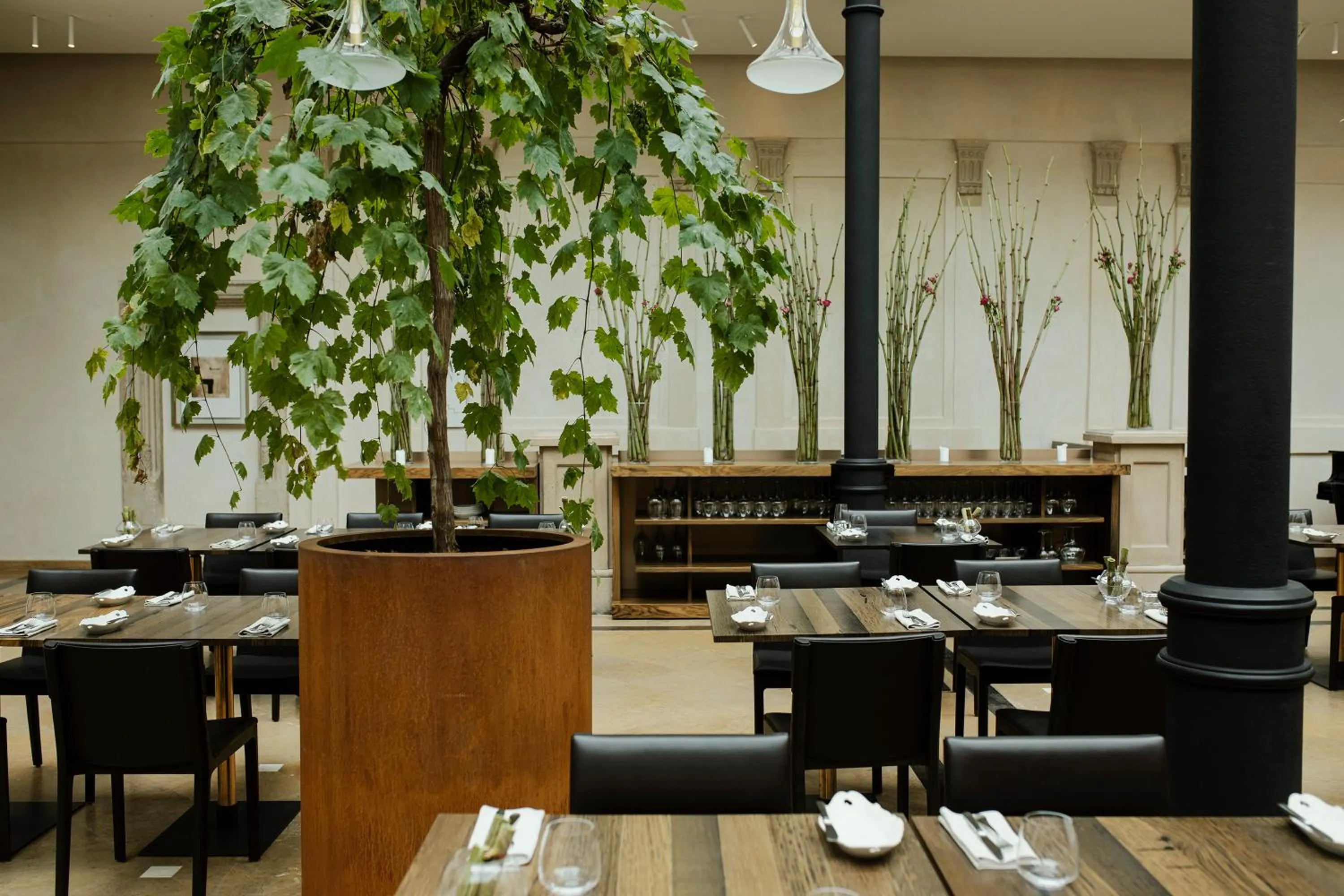 Restaurant/places to eat in Hotel Pod Różą