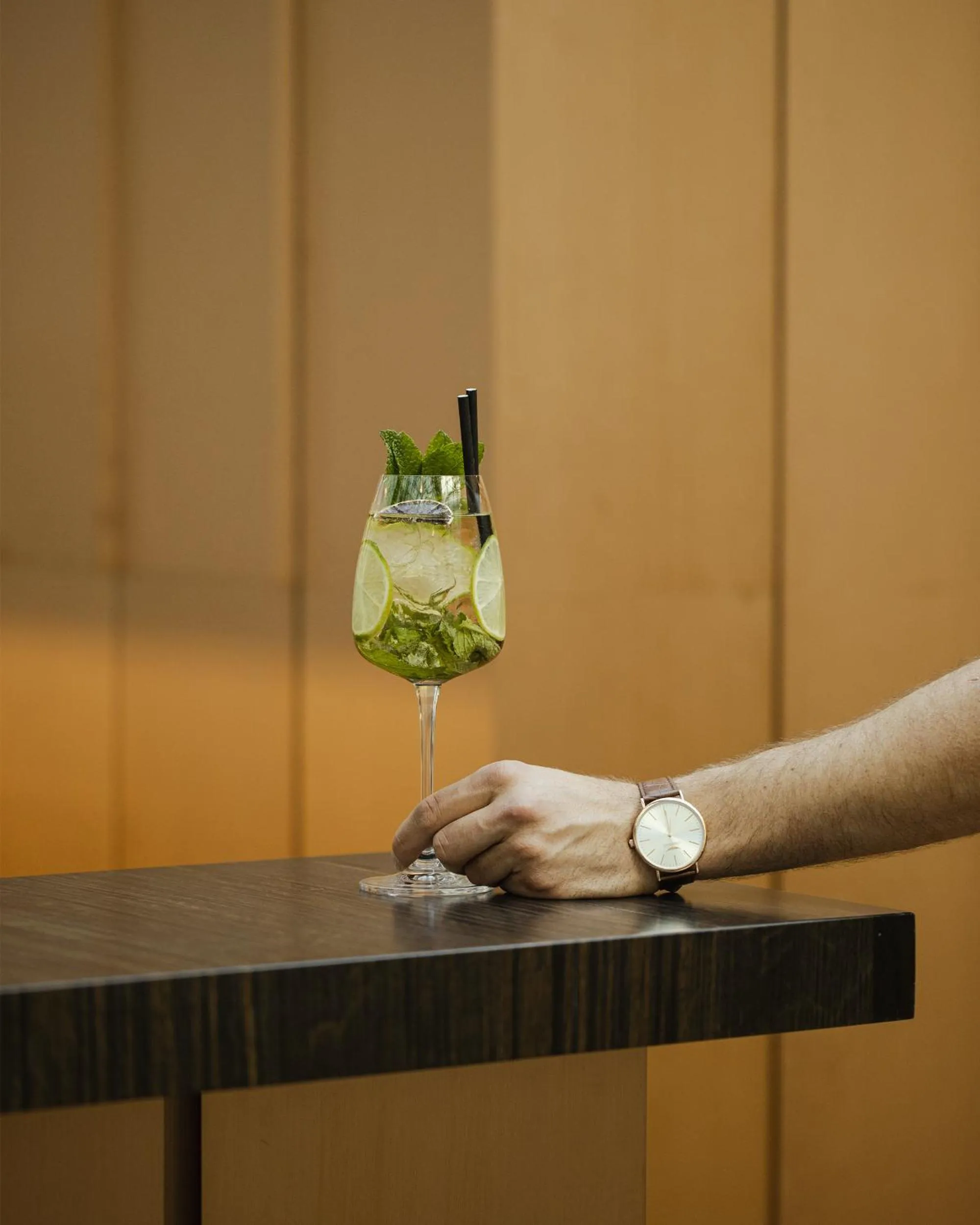 Lounge or bar in Hotel Pod Różą