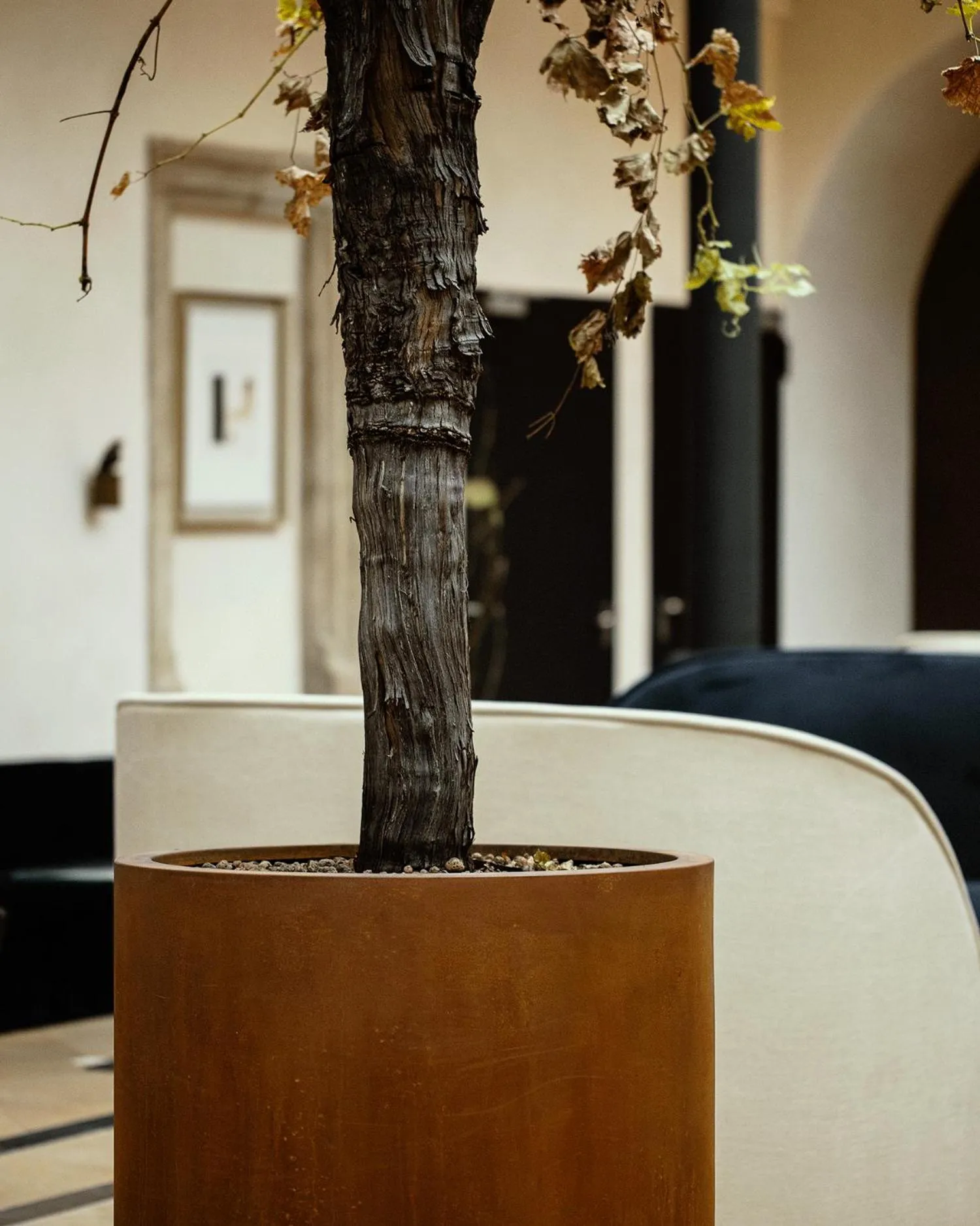 Seating area in Hotel Pod Różą