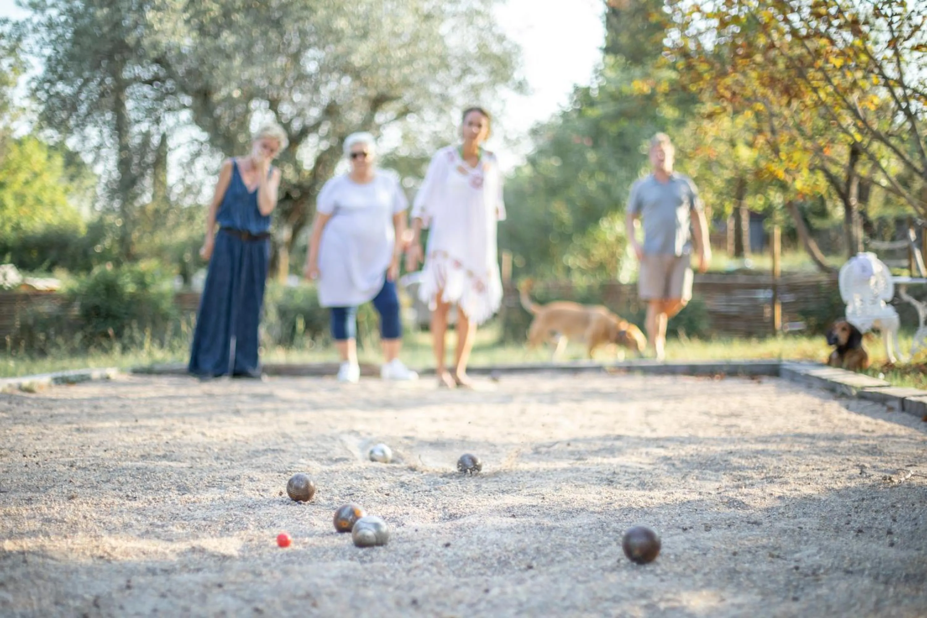 Garden in Le Mas des Romarins, FAYENCE