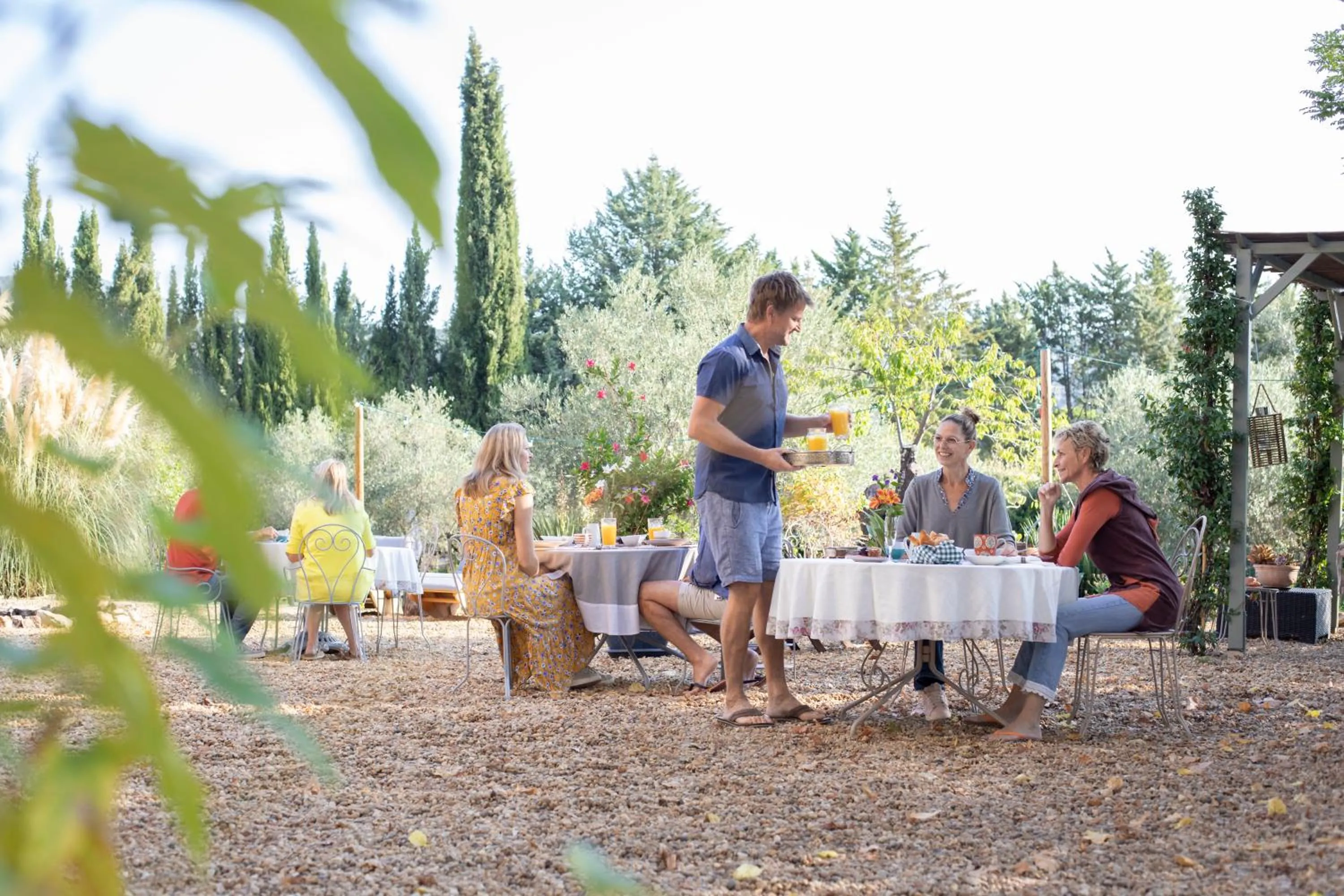 Natural landscape in Le Mas des Romarins, FAYENCE