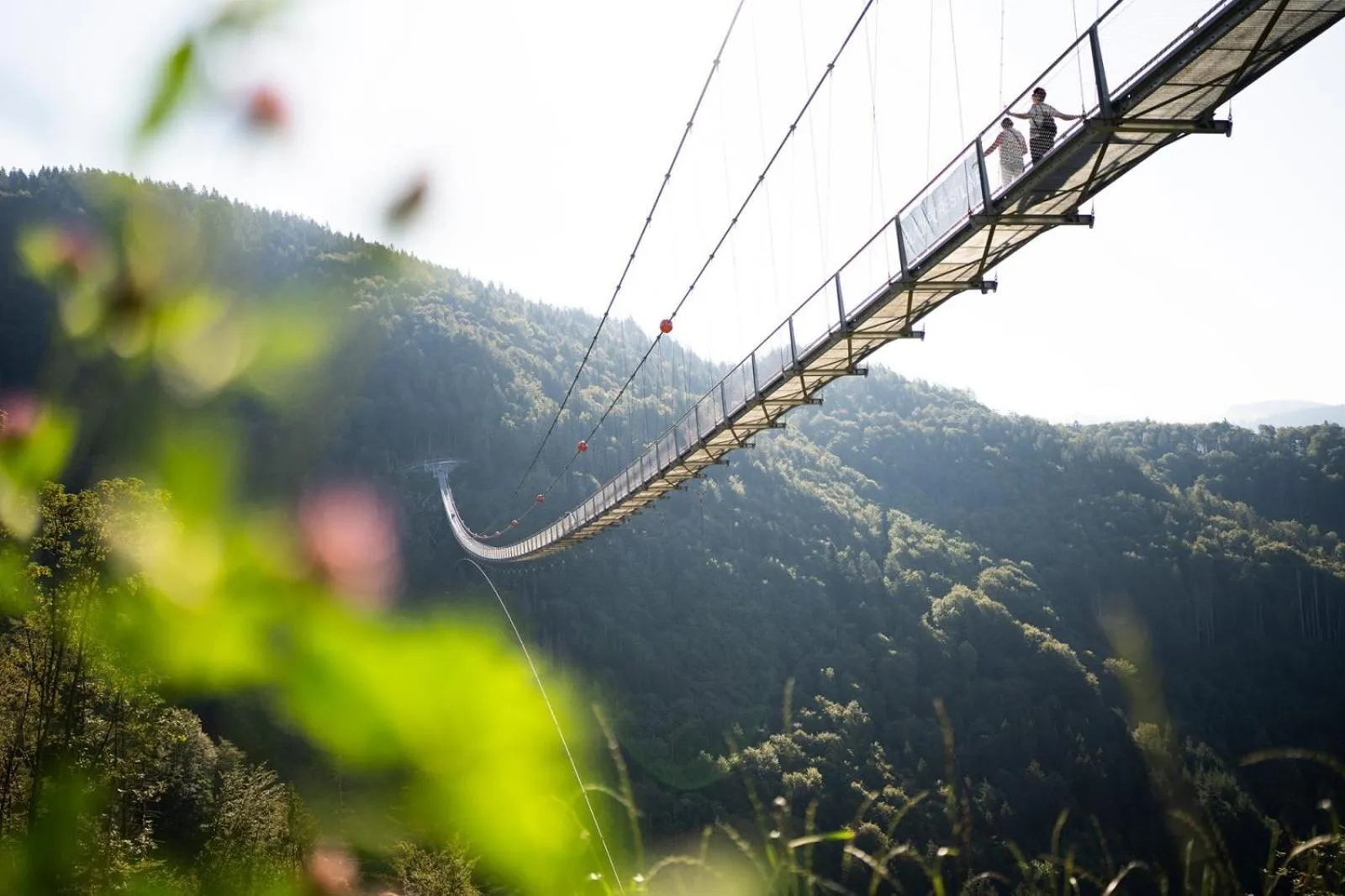 Neighbourhood in Black Forest Hotel Todtnau