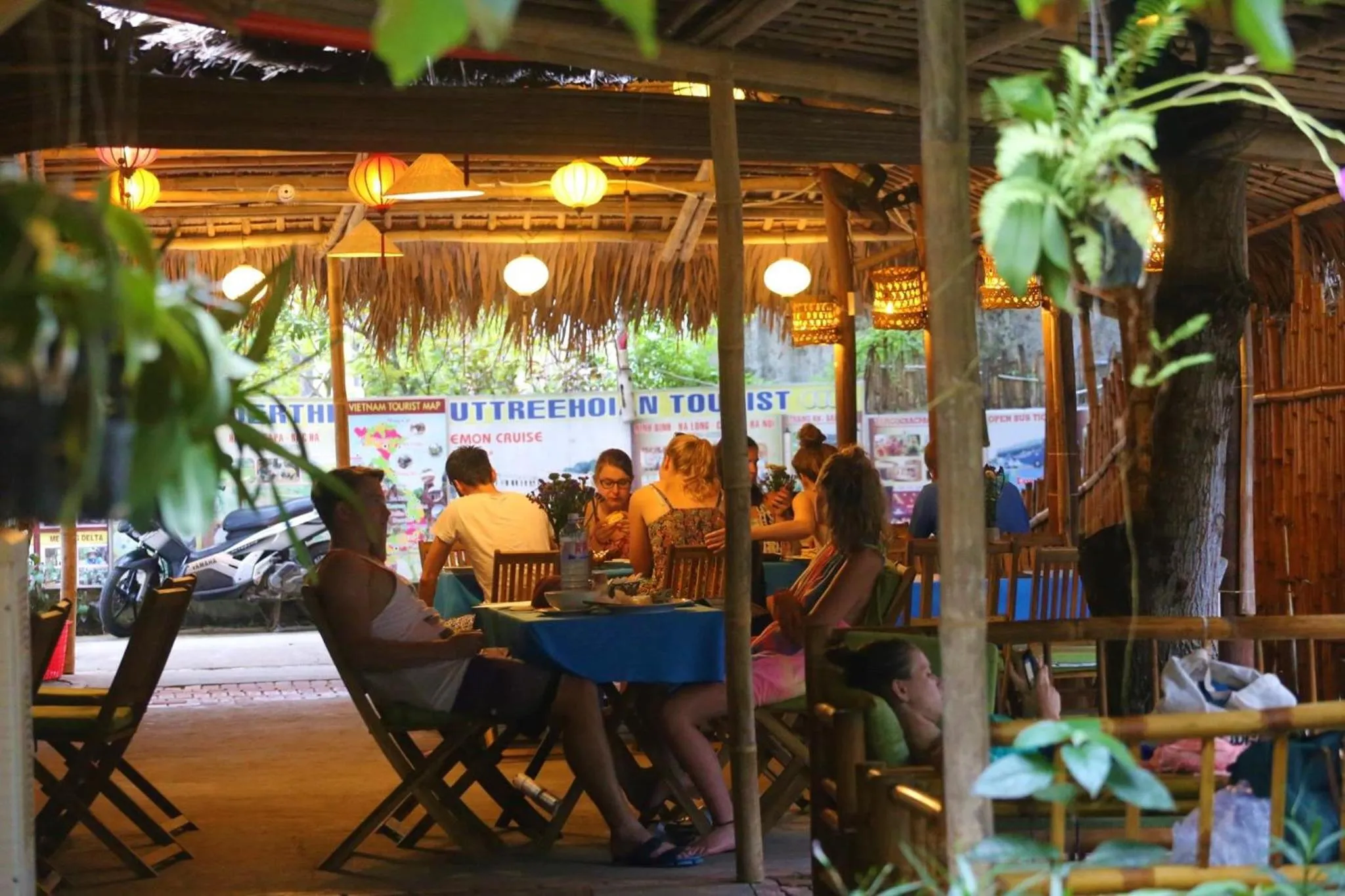 Under The Coconut Tree Hoi An