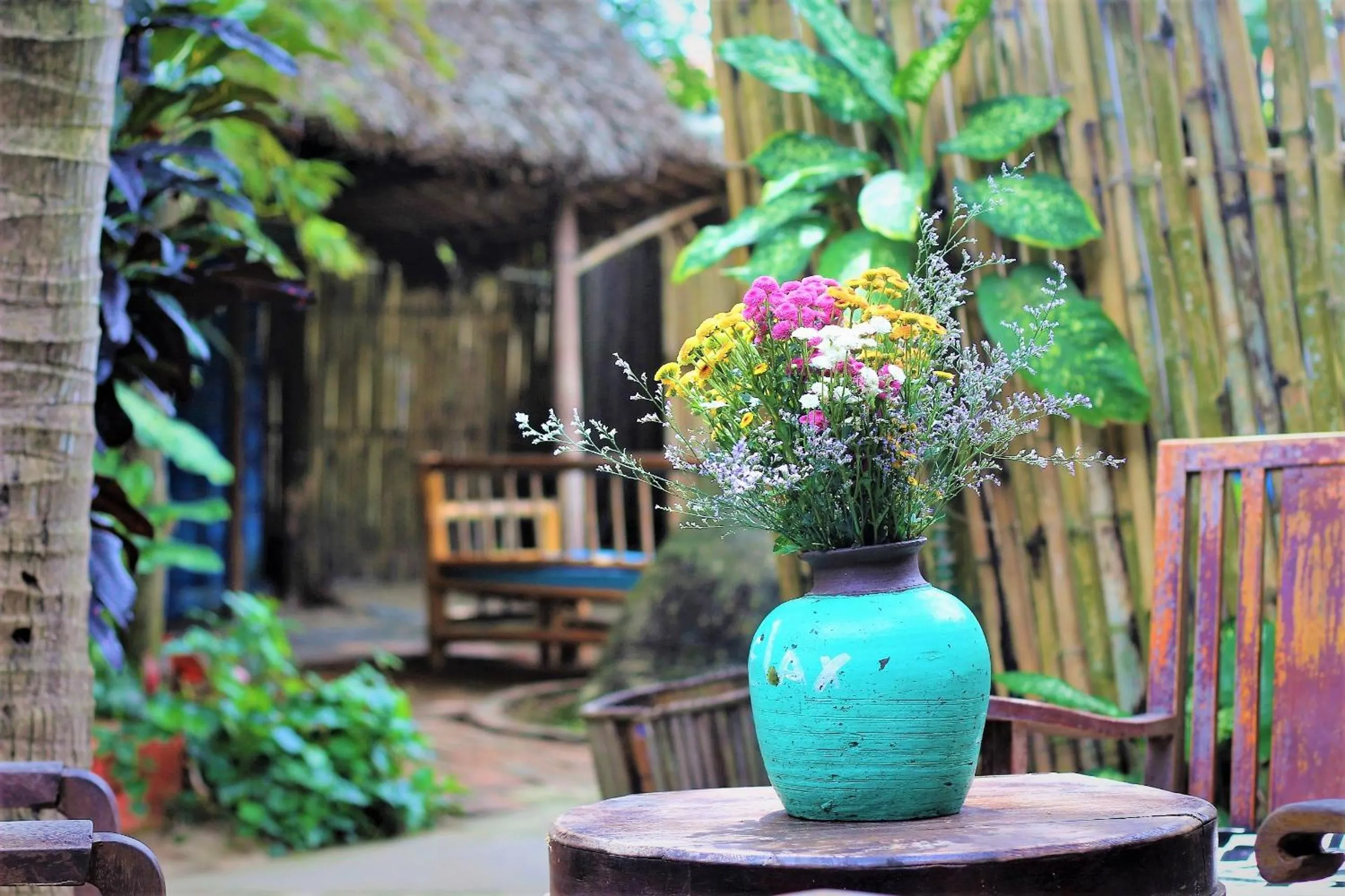 Under The Coconut Tree Hoi An