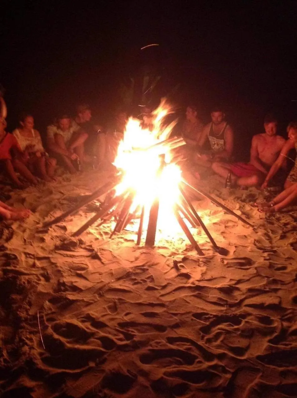 Under The Coconut Tree Hoi An