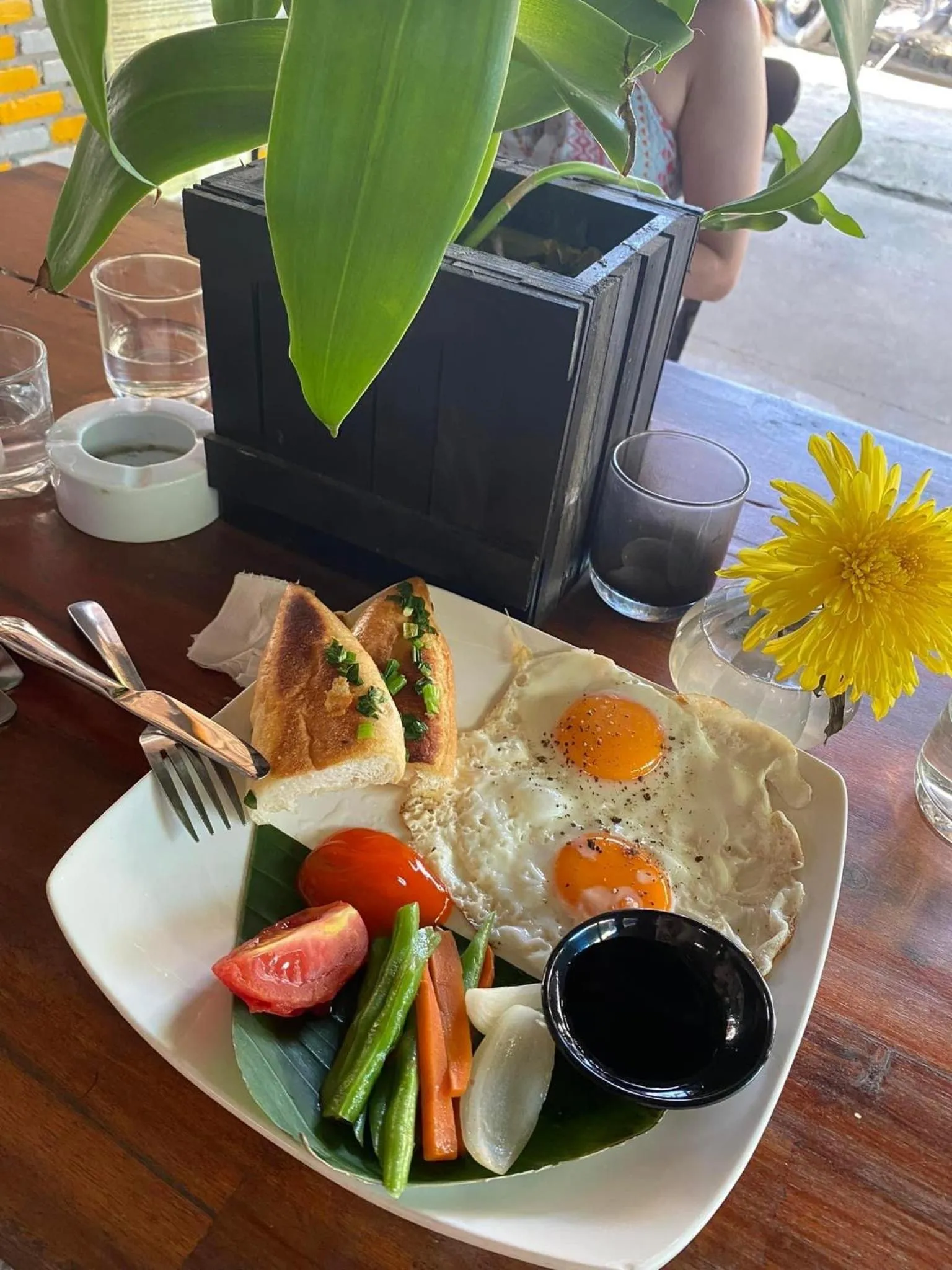 Under The Coconut Tree Hoi An