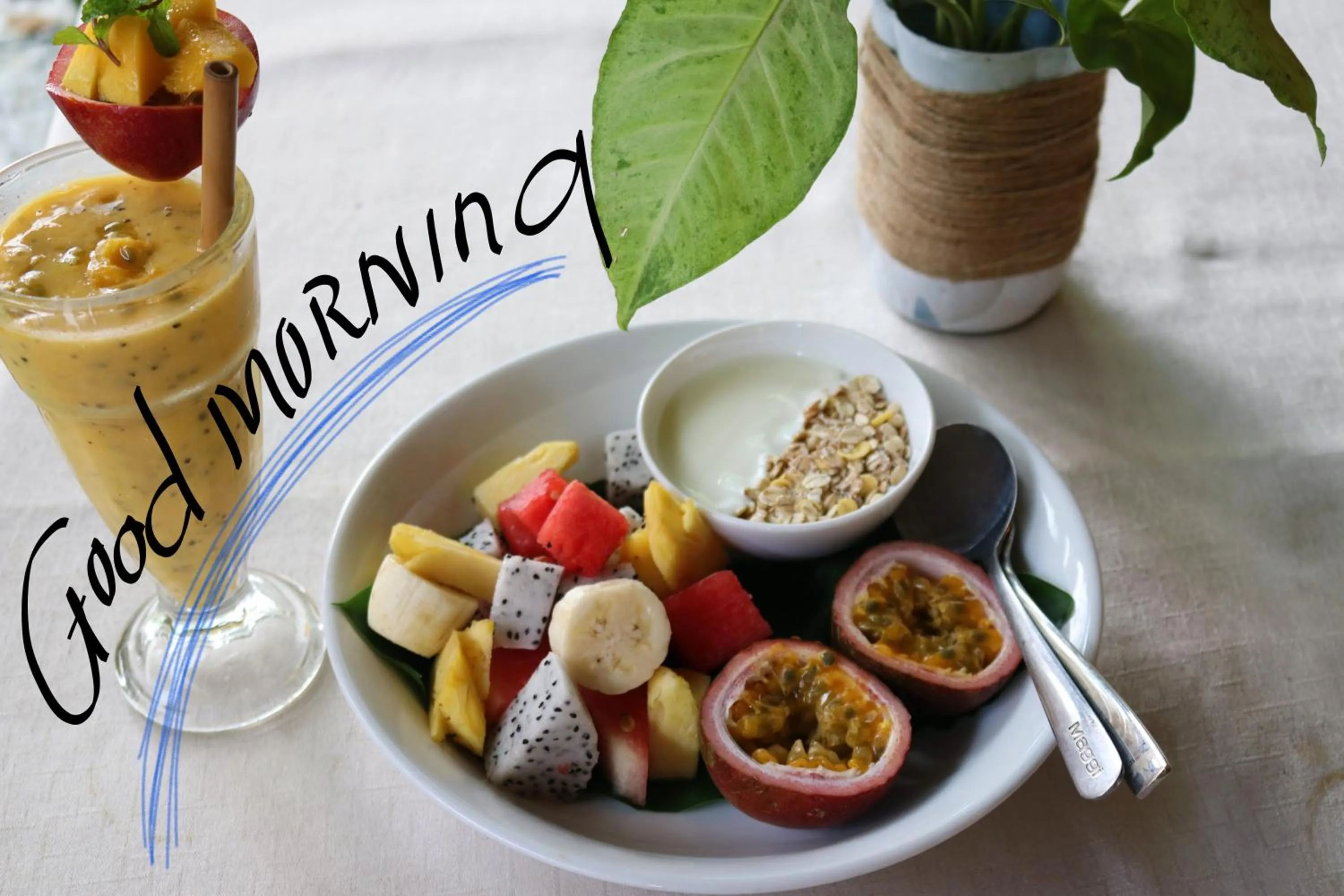 Under The Coconut Tree Hoi An
