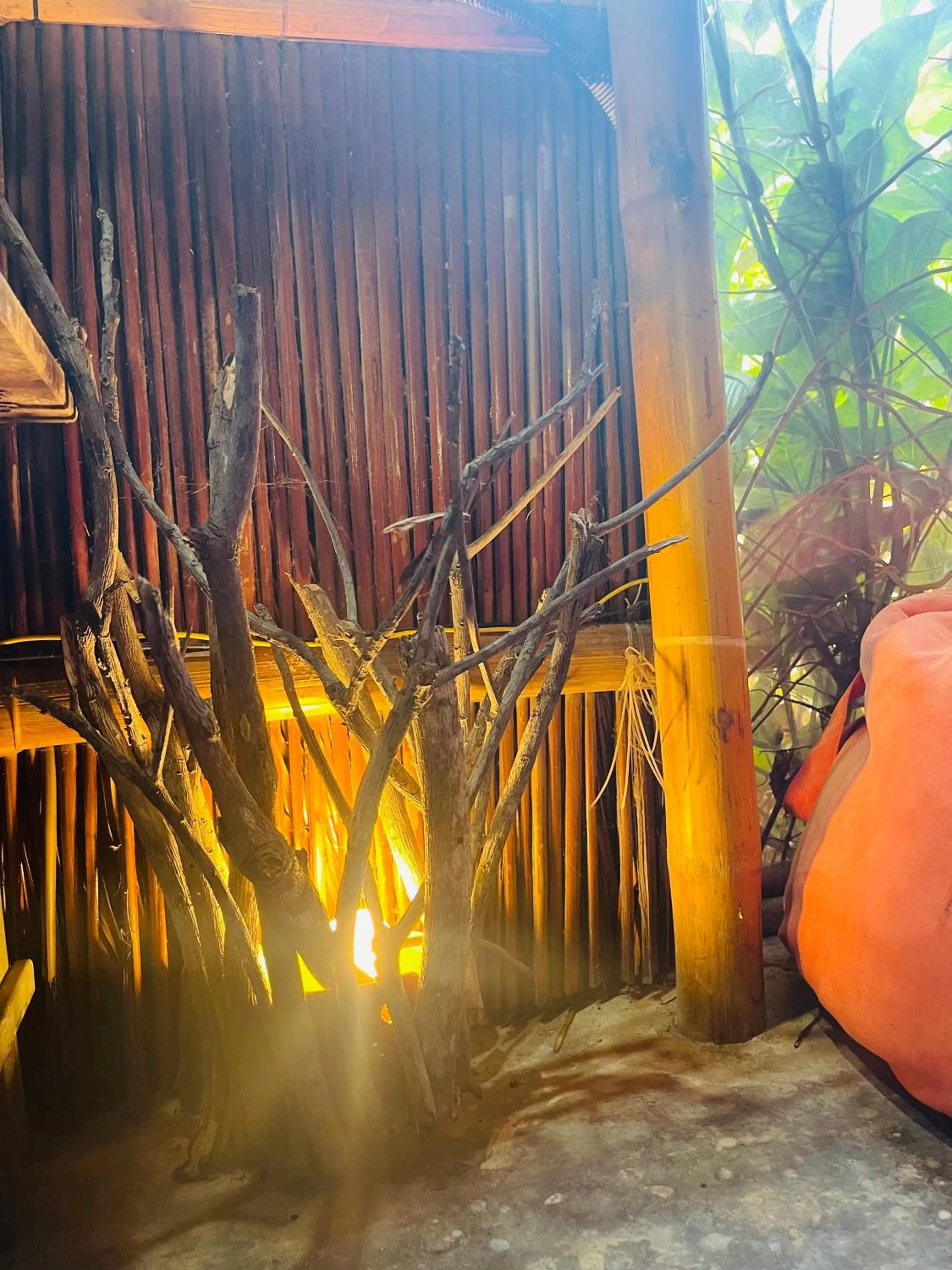 Under The Coconut Tree Hoi An