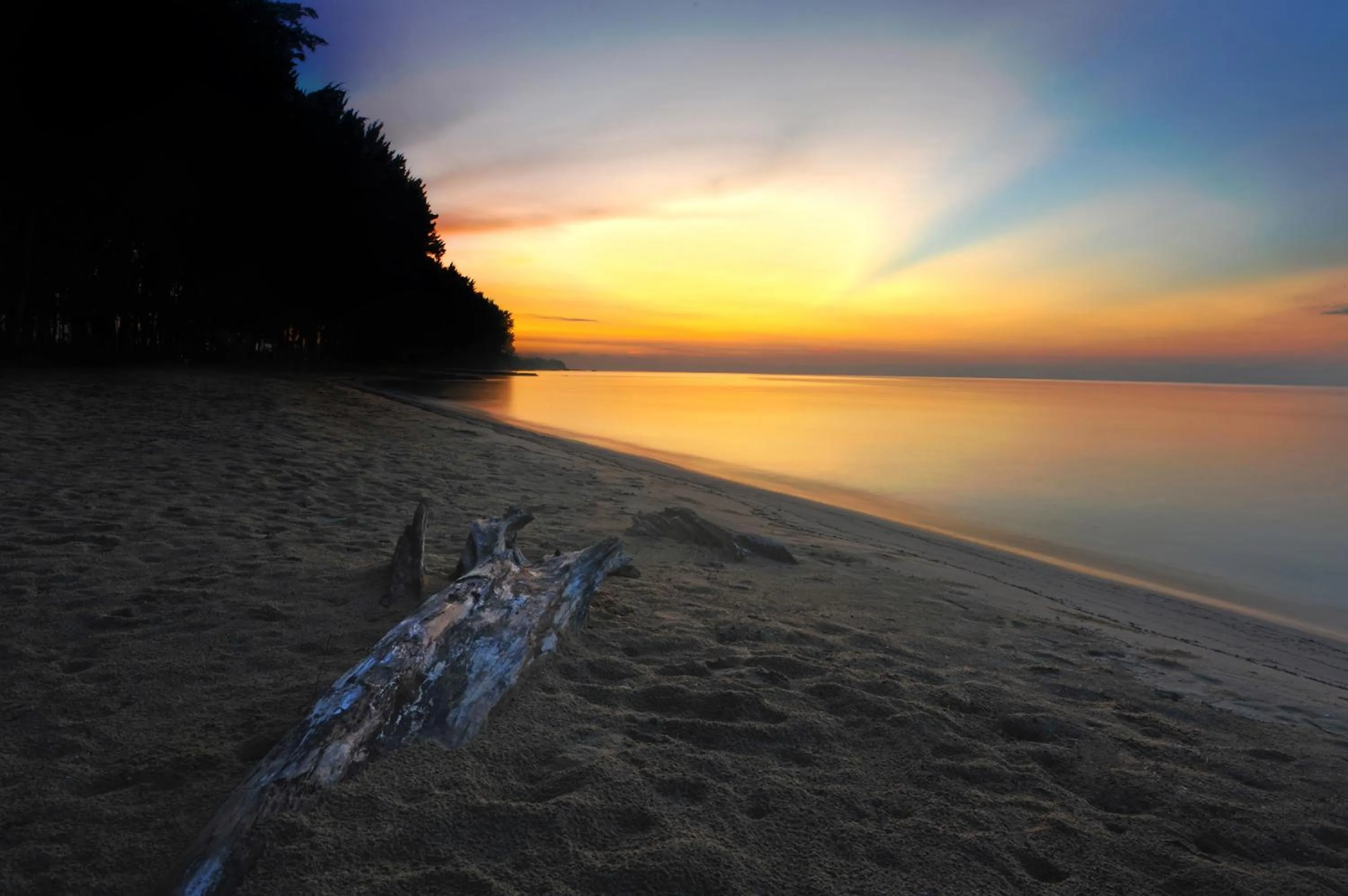 Natural landscape in Hotel Felda Residence Sahabat