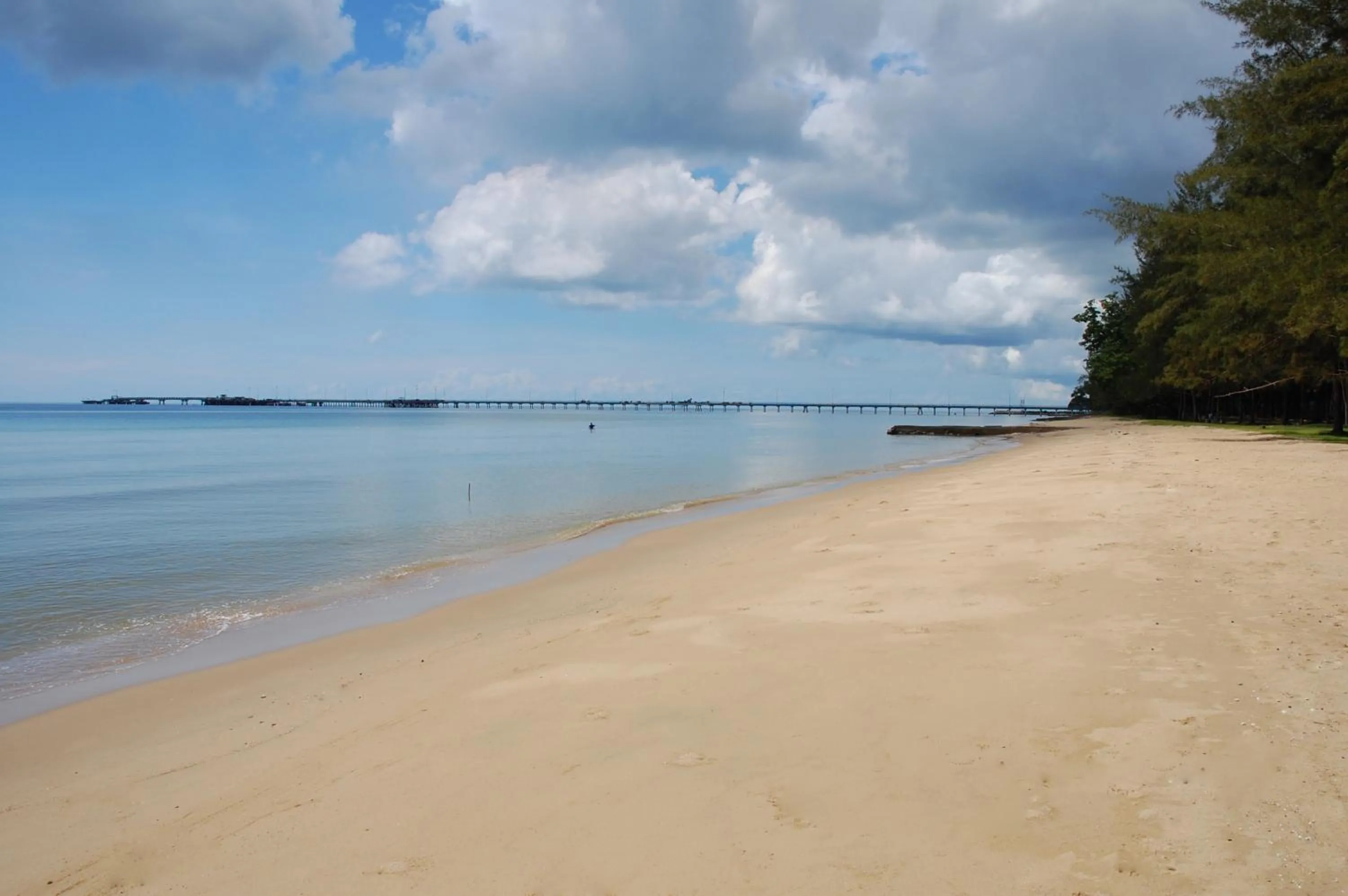 Natural landscape in Hotel Felda Residence Sahabat