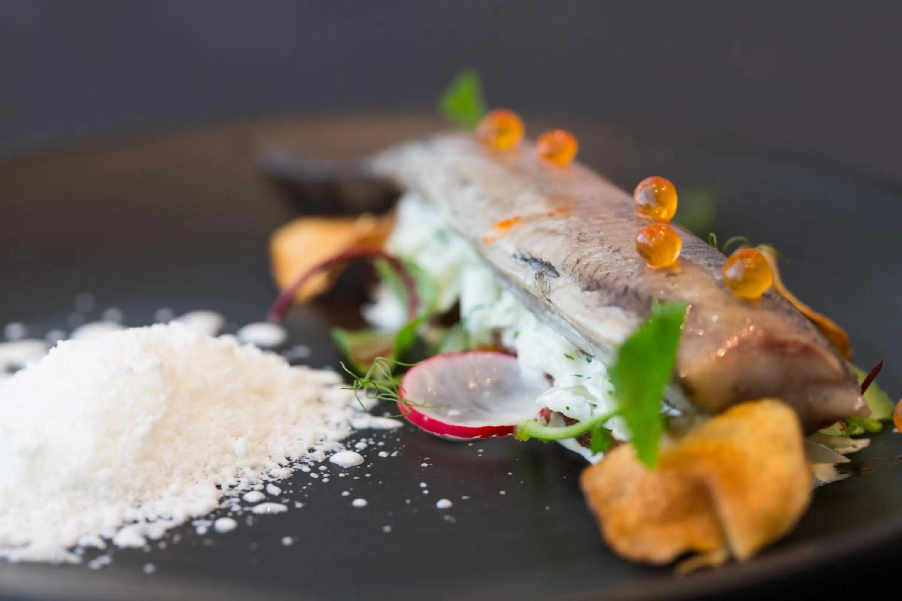 Food close-up in Hotel Shuum Boutique - Destigo Hotels