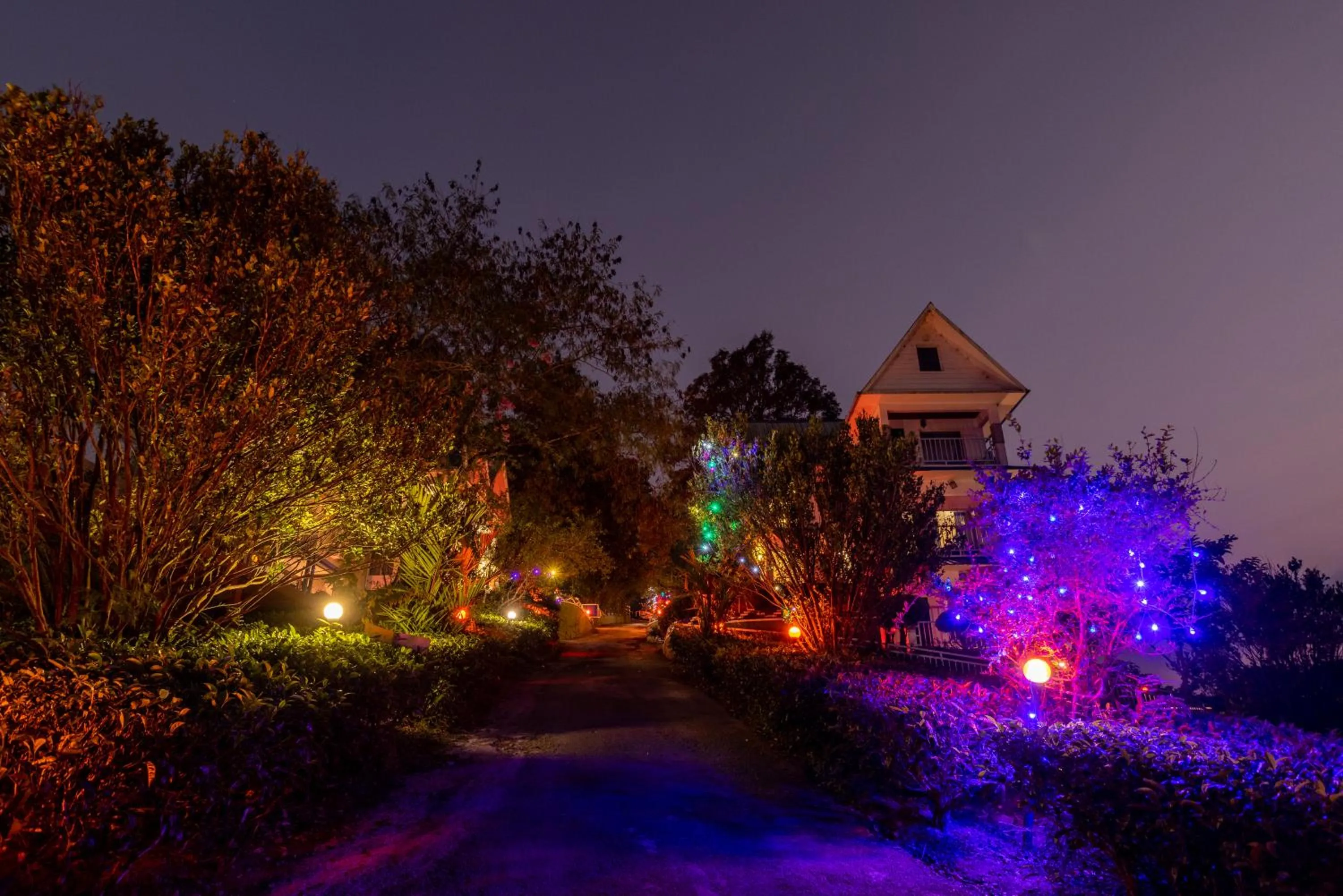 Night in Eterno Camellia & Elettaria Resort with Pool
