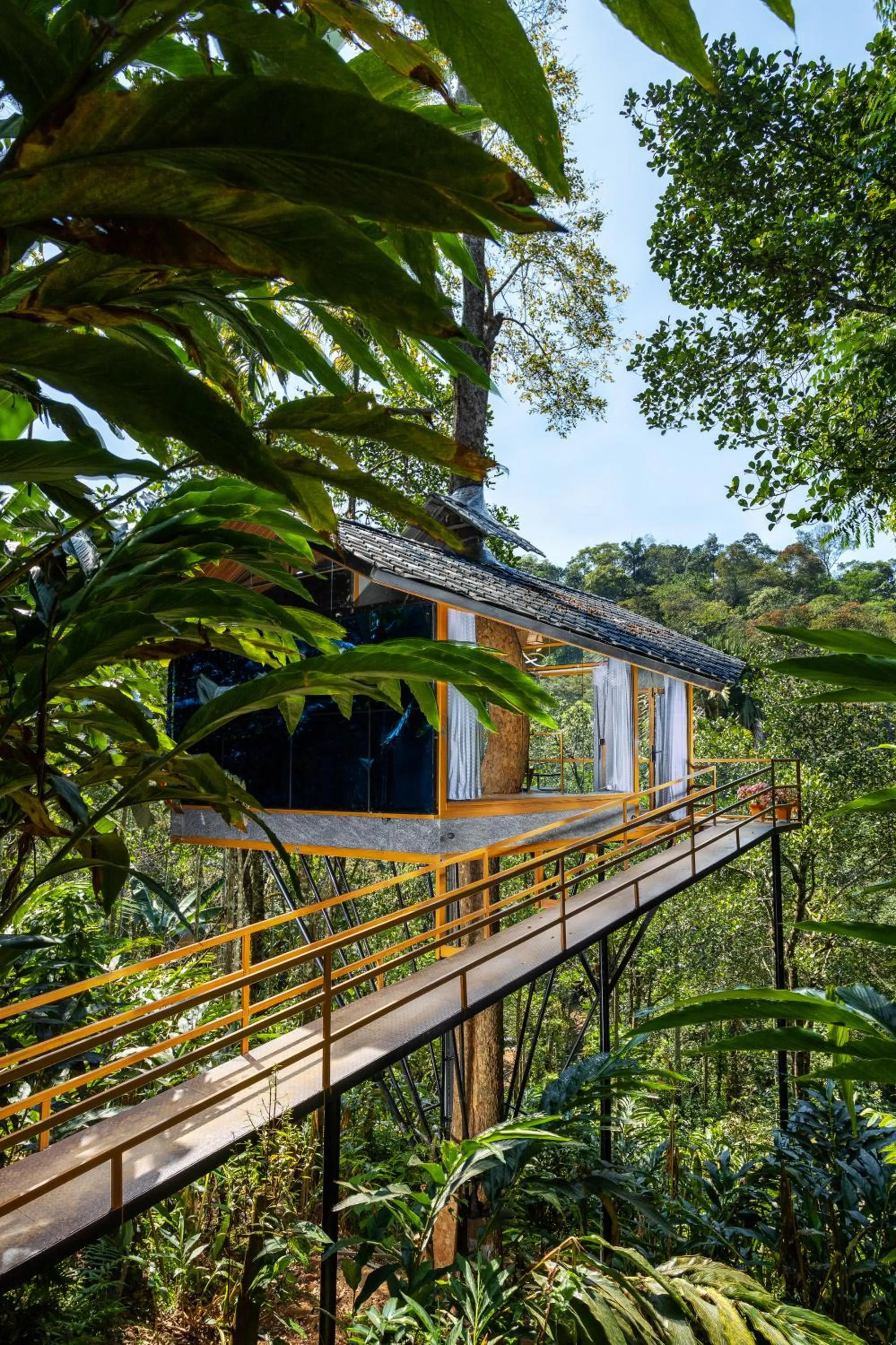 Natural landscape in Eterno Camellia & Elettaria Resort with Pool